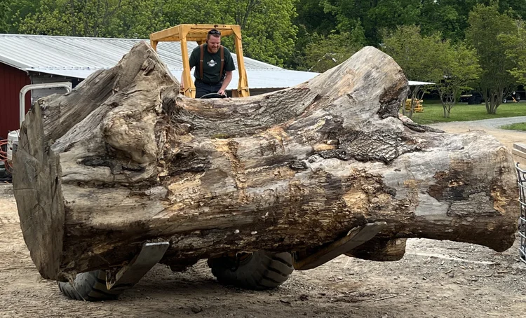 Crane loading urban logs for pickup