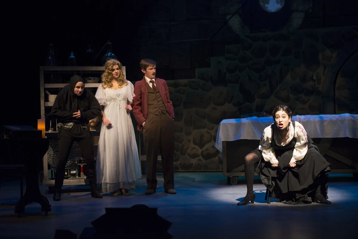 Young Frankenstein (2014)