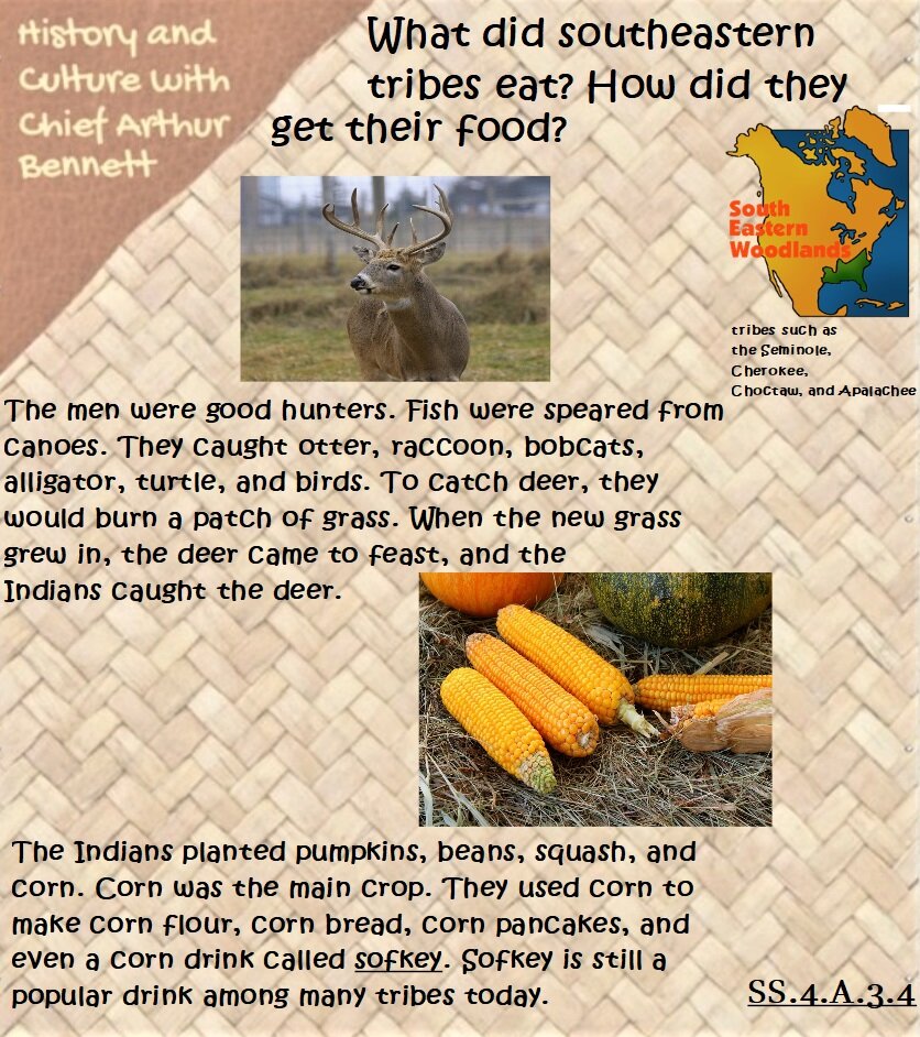 fact 10.jpg