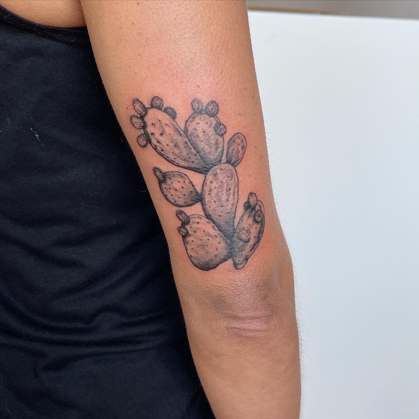 i absolutely loved this prickly pear cactus from today! there&rsquo;s something just so therapeutic about creating a cactus! 🌵 thank you so much for being so awesome @danihairchicago !

&mdash;&mdash;&mdash;&mdash;&mdash;&mdash;&mdash;&mdash;&mdash;