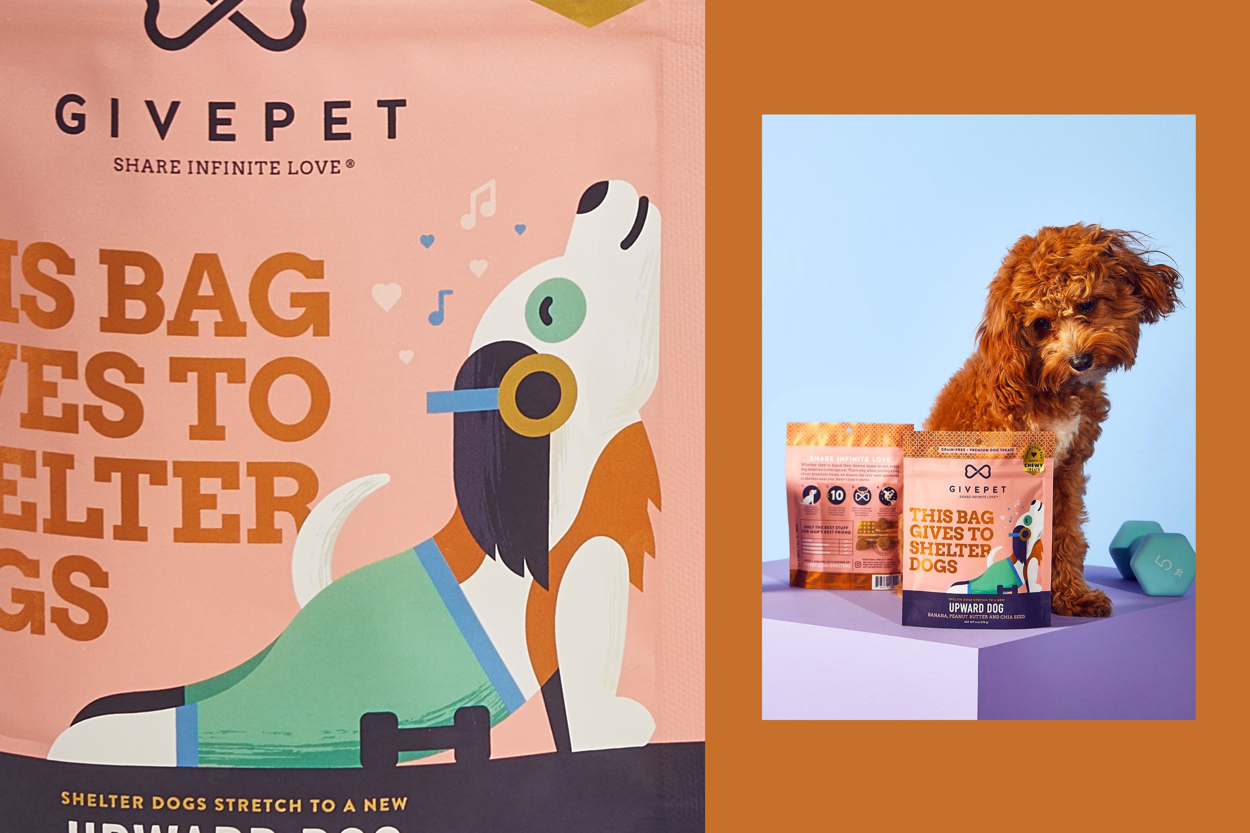 GIVEPET SOFT TREATS PACKAGING-04.jpg