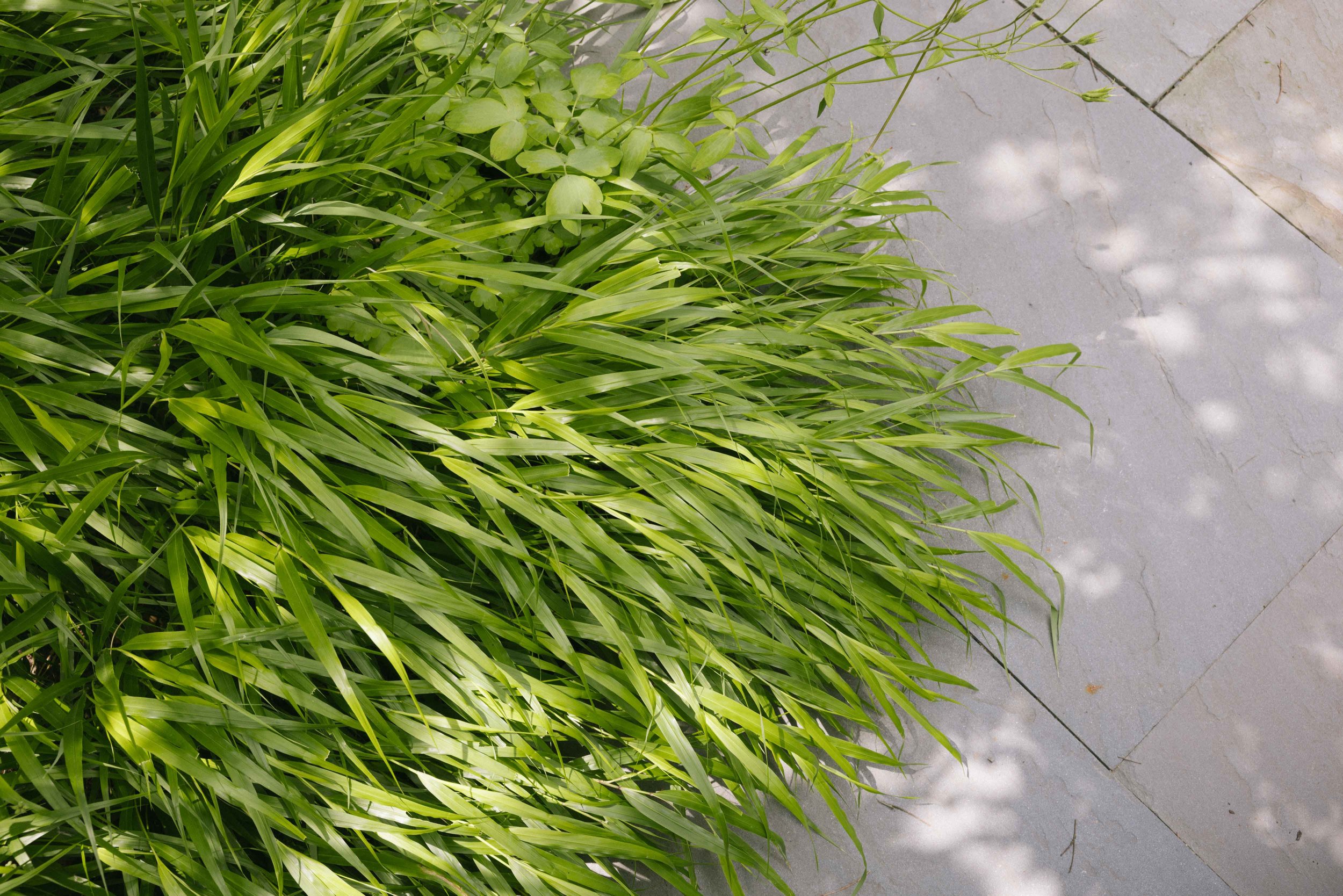 22-55 Crescent 1MB-9.jpg