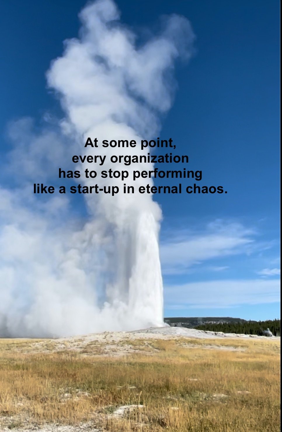Stop performing like a start-up in eternal chaos