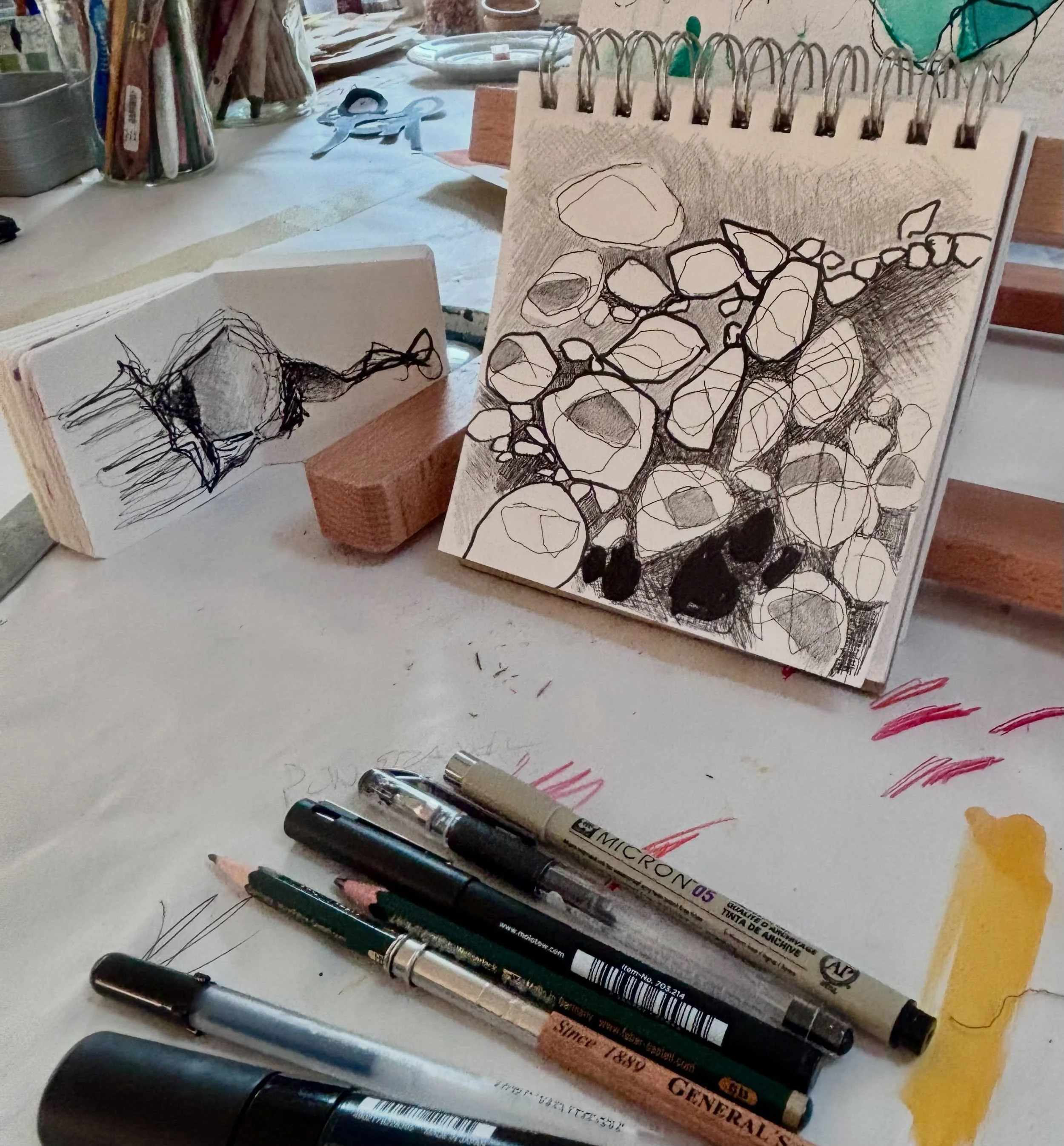 It always surprises me how interesting simple pens and pencils can be when used together in layers. #dailydrawing #micronpen #fabercastel #poscamarkers #gellyrollpens