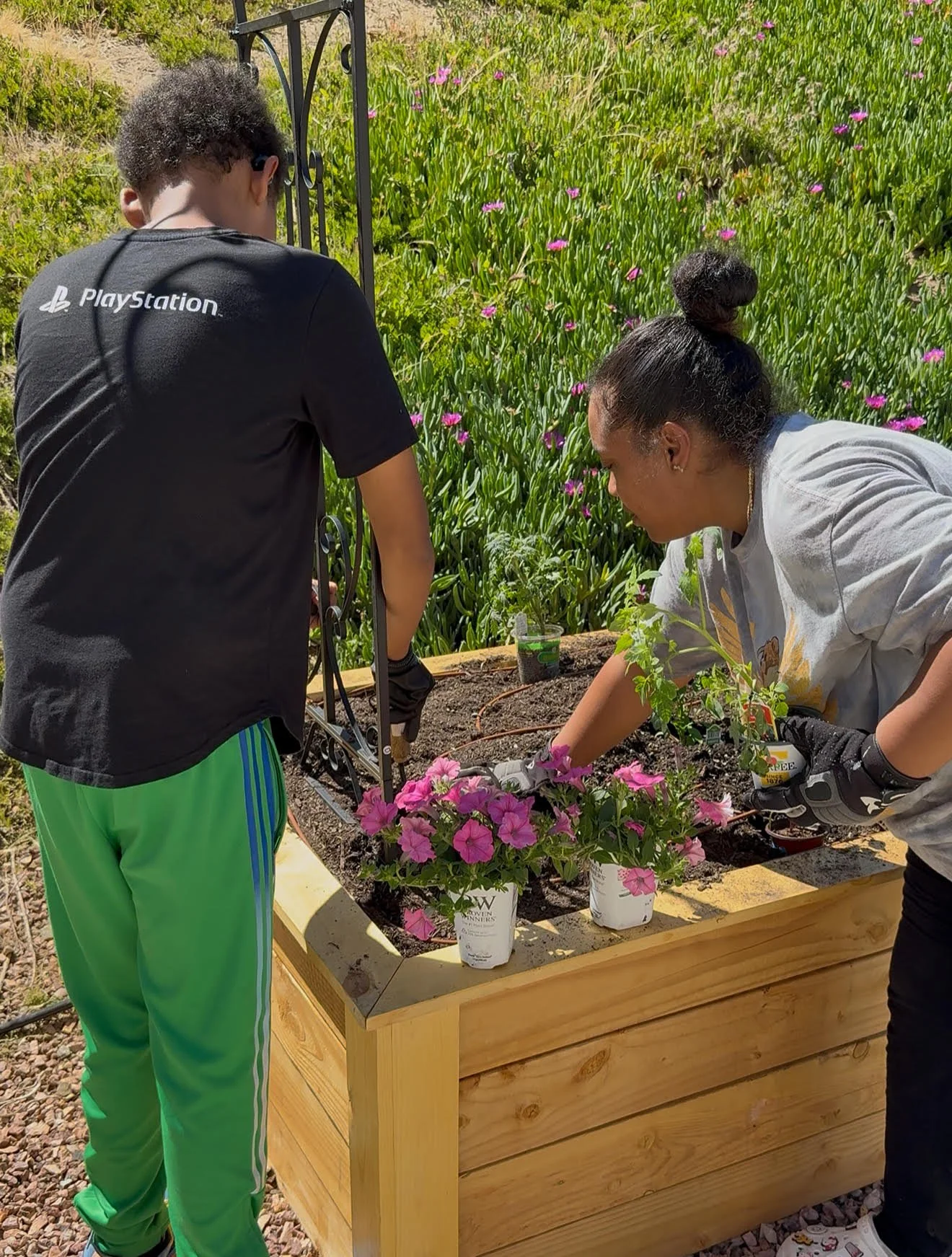 Garden Coaching Session