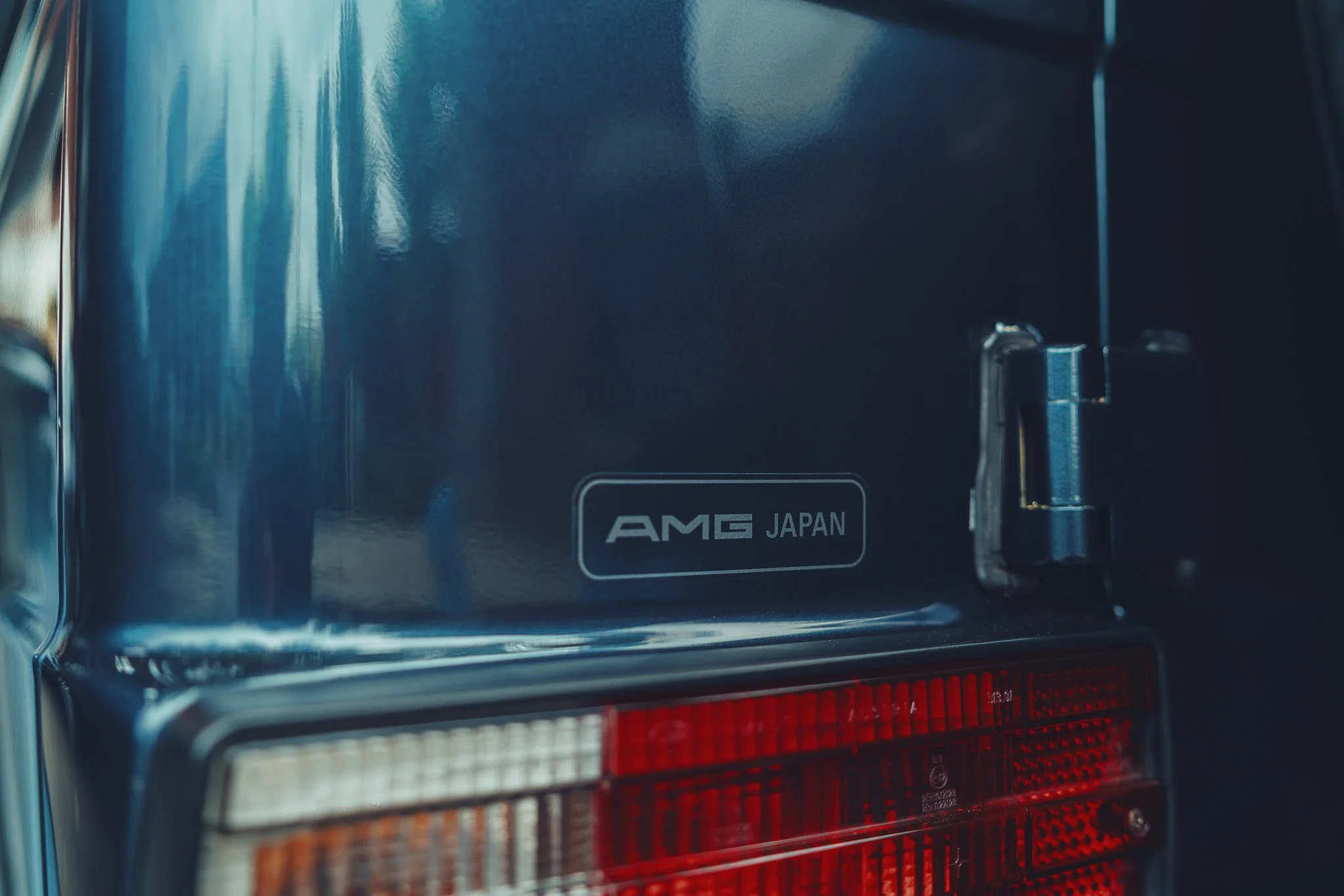 _DSC0164.jpg