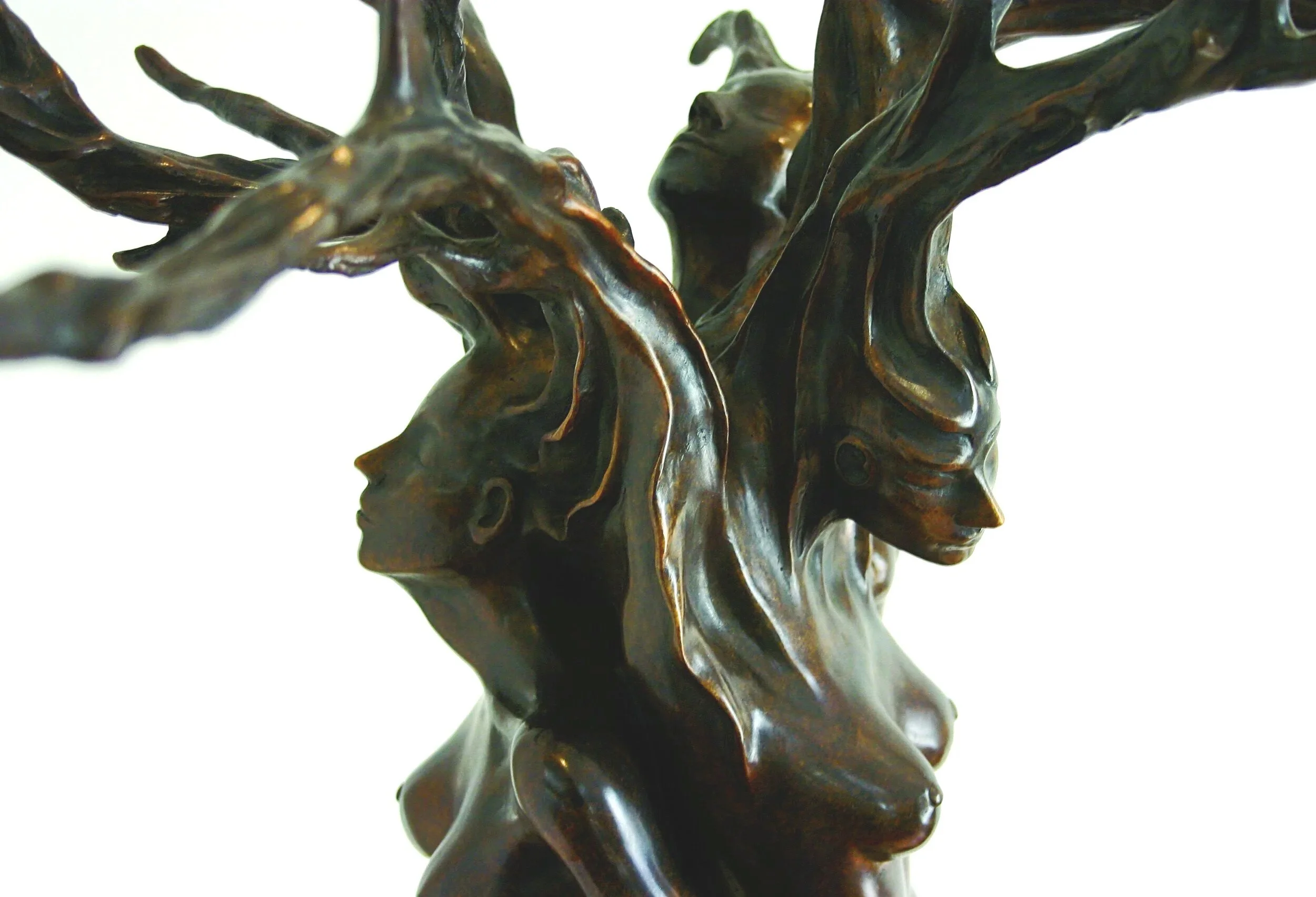 TREE OF LIFE,                                                                                                                                                                                                                                       
Limit