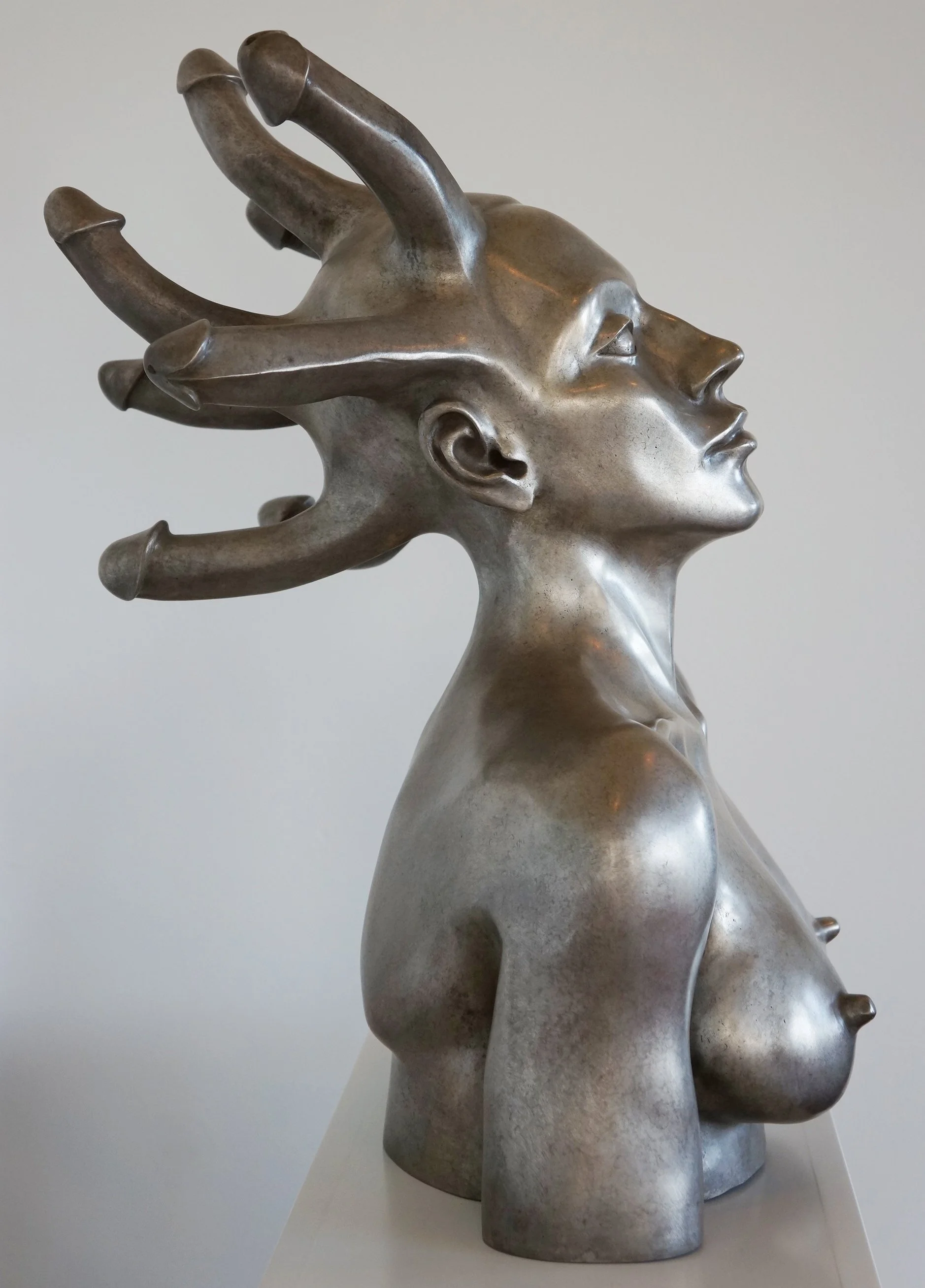 Silver Medusa Profile View.jpg