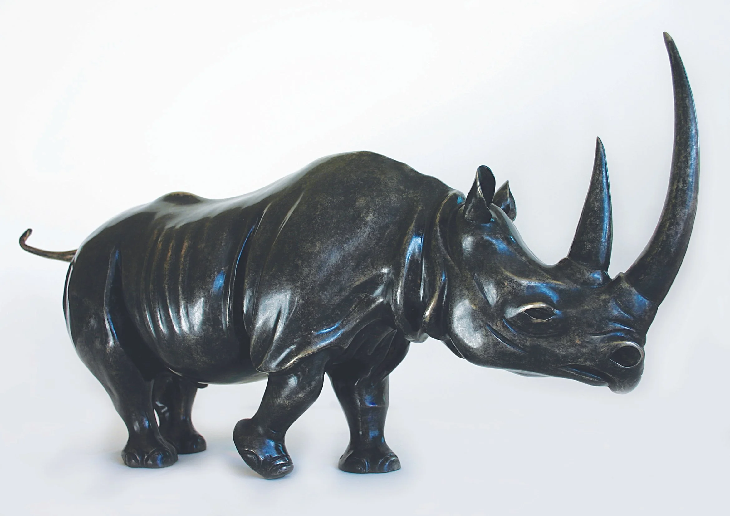 IMG_1755RhinoRight Side View.jpg