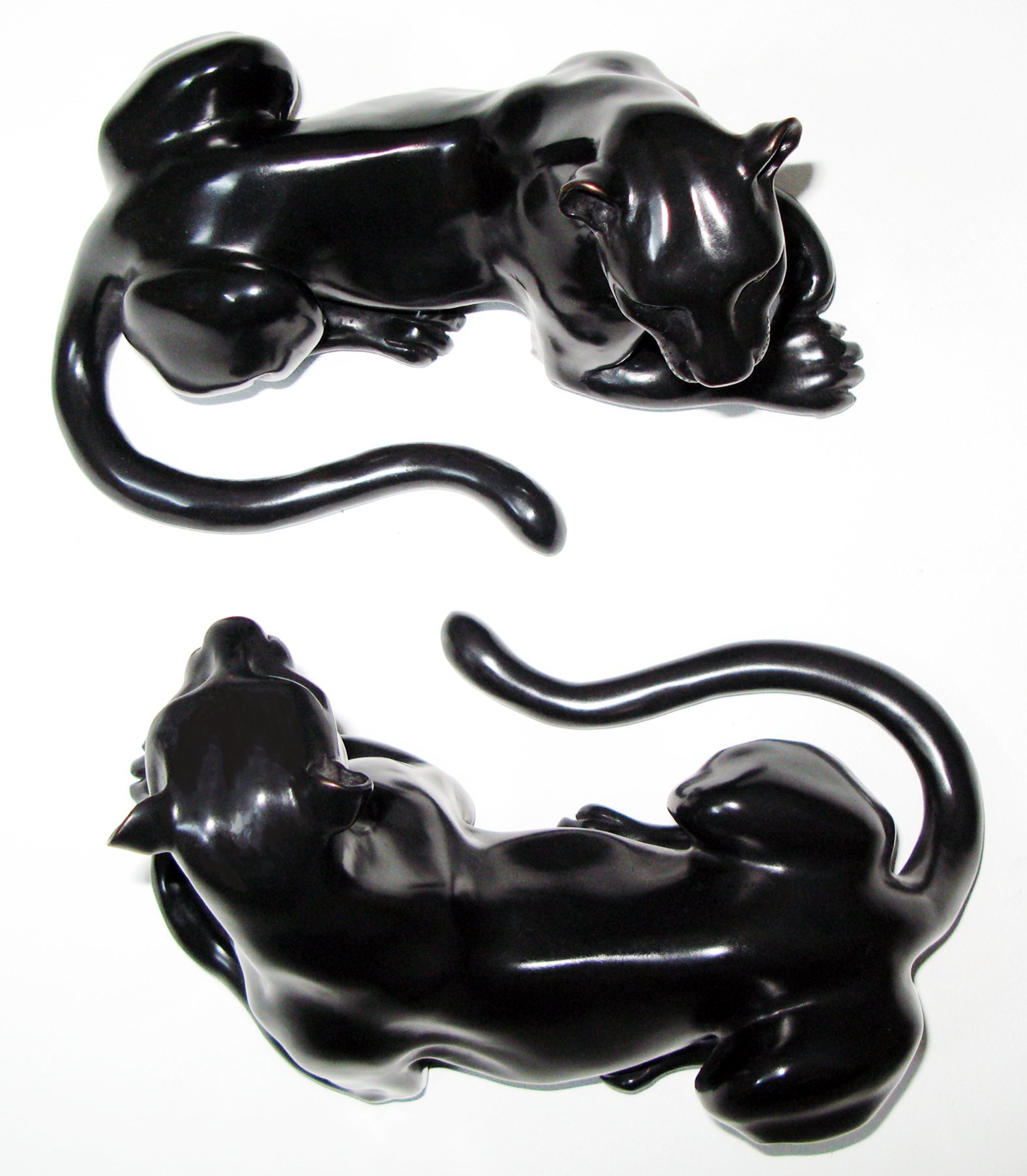 Leopards Top View.jpg