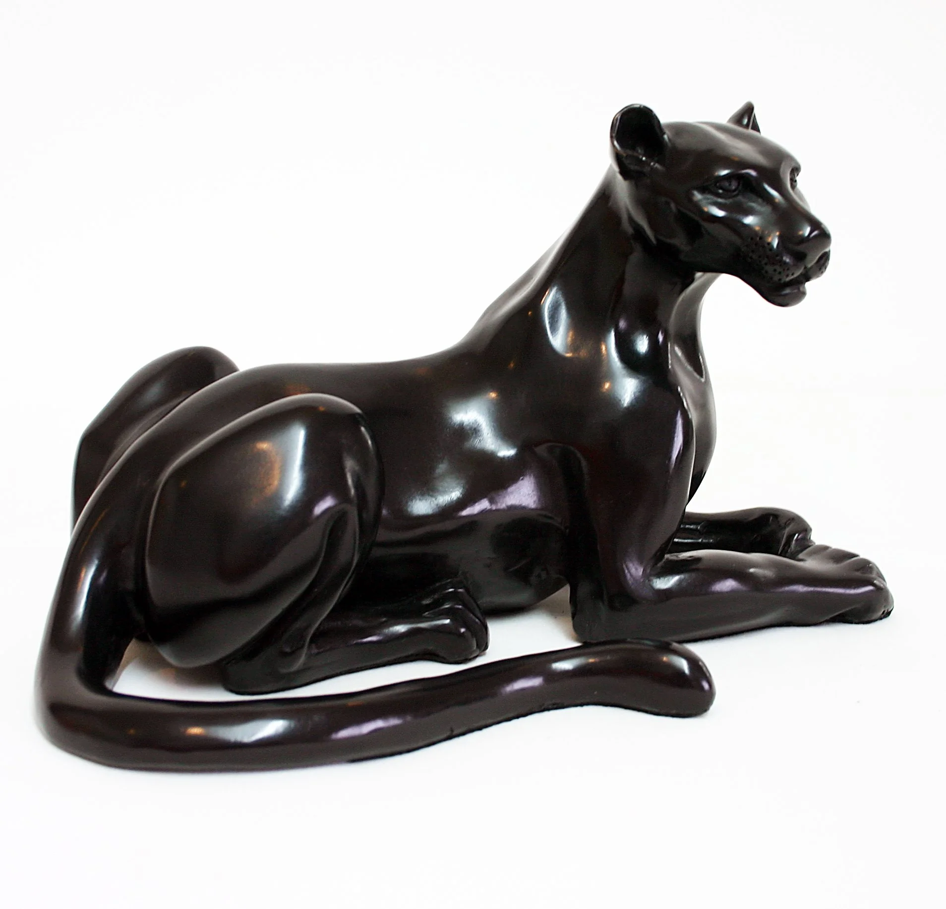 BLACK LEOPARD (MALE)                                                                                                                                                                                                                                Limite