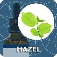 HAZEL-Gemmo.jpg