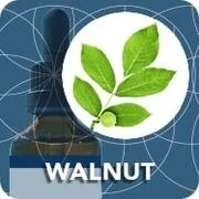 WALNUT-1_180x.jpg