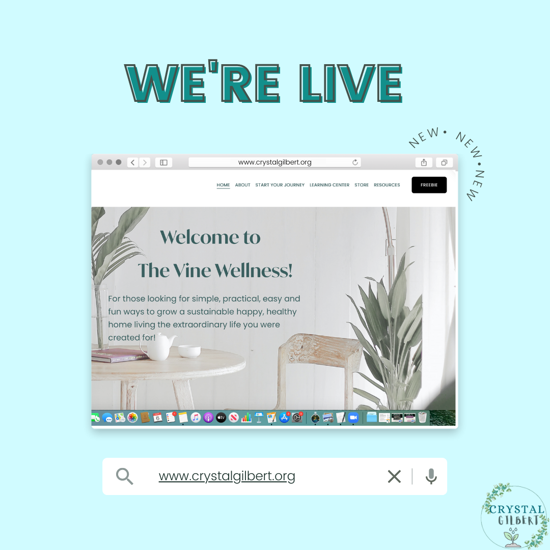 Welcome to                    The Vine Wellness