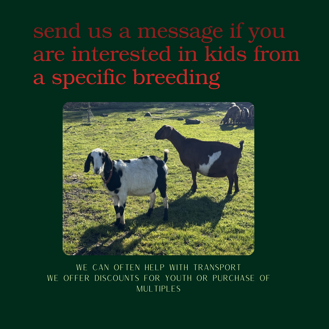 Breeding Plan Anncmt 5.png