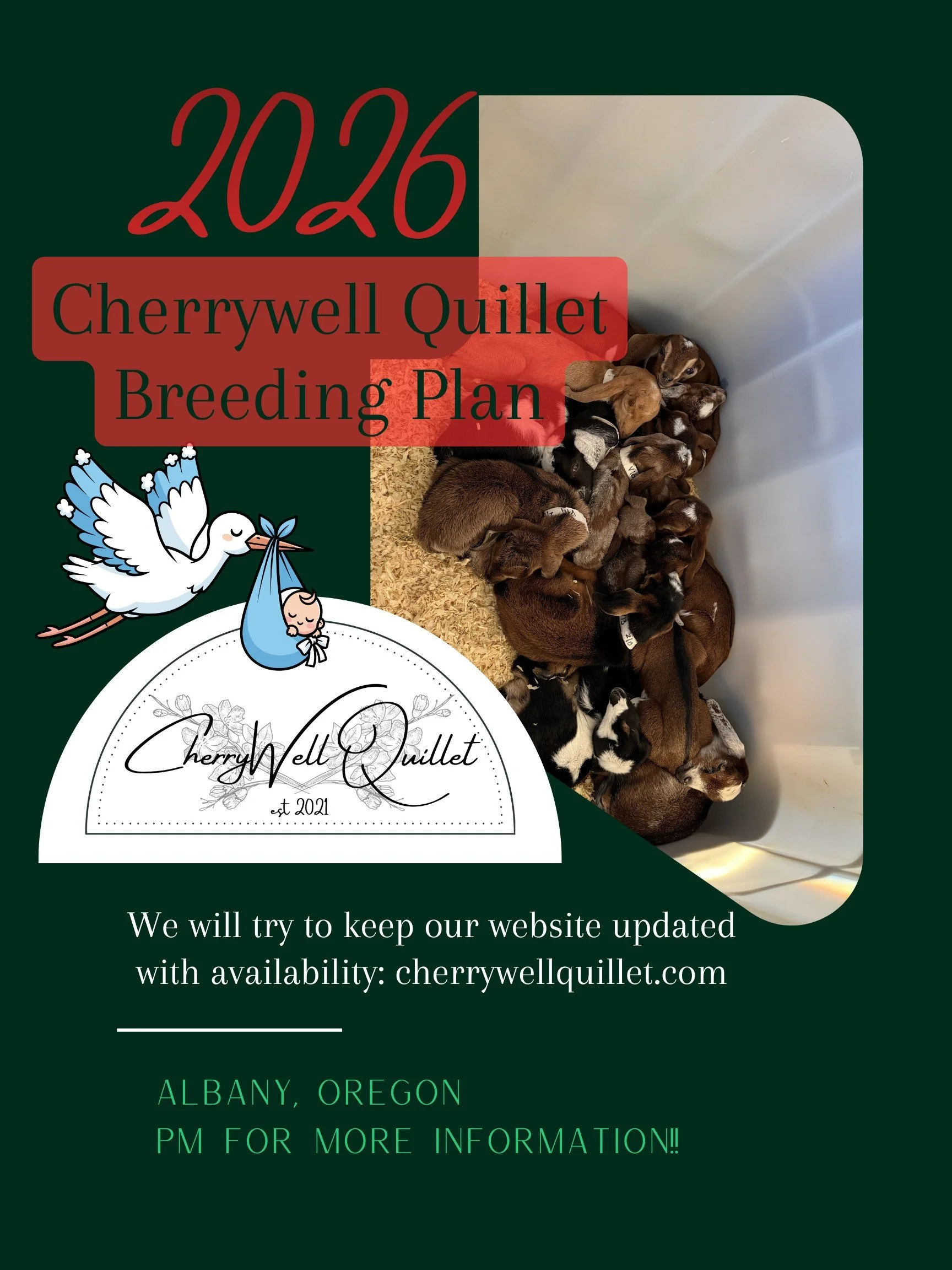 Breeding Plan Announcement 1.jpg