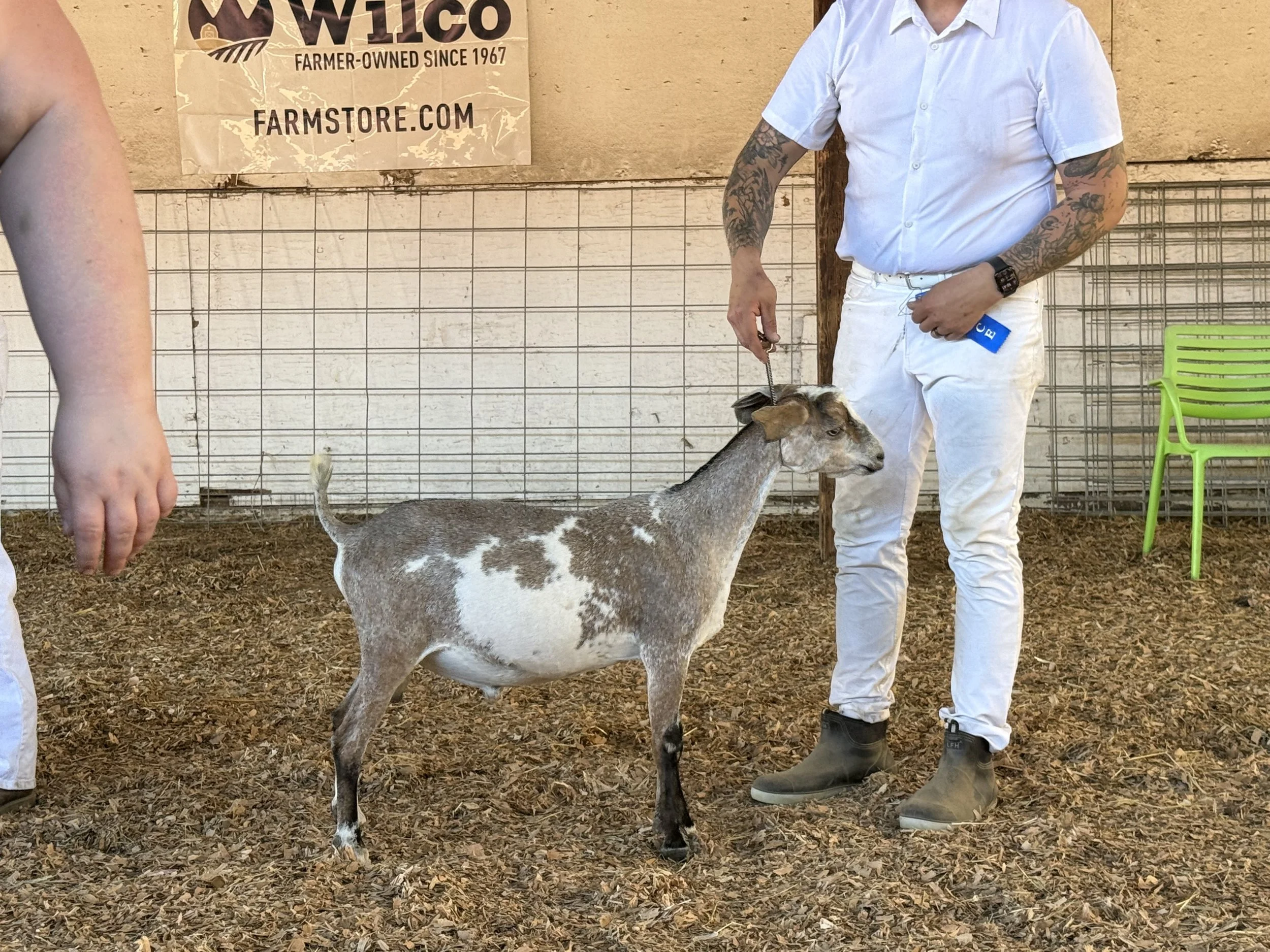 WillowRidge Arctic Frost