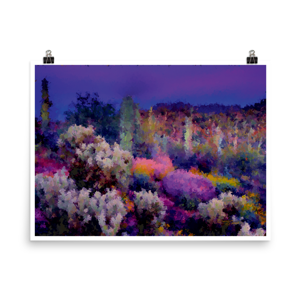 Arizona Shades