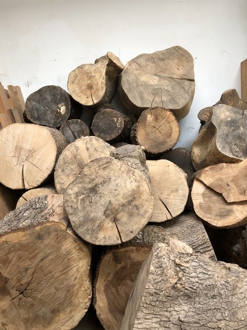 A wall of tree stumps 3-4 high and several feet deep, from a variety of different tree species.