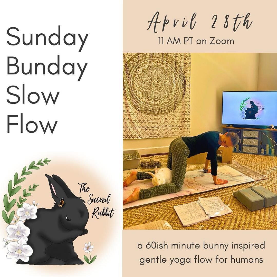 It&rsquo;s about that time again Bunny Yogis! 
Hop in to the virtual Burrow this Sunday Bunday for a little bunny inspired gentle yoga offering on Zoom! 

We will be dancing with our breath, flowing like a rabbit on our mats and cultivating loving vi