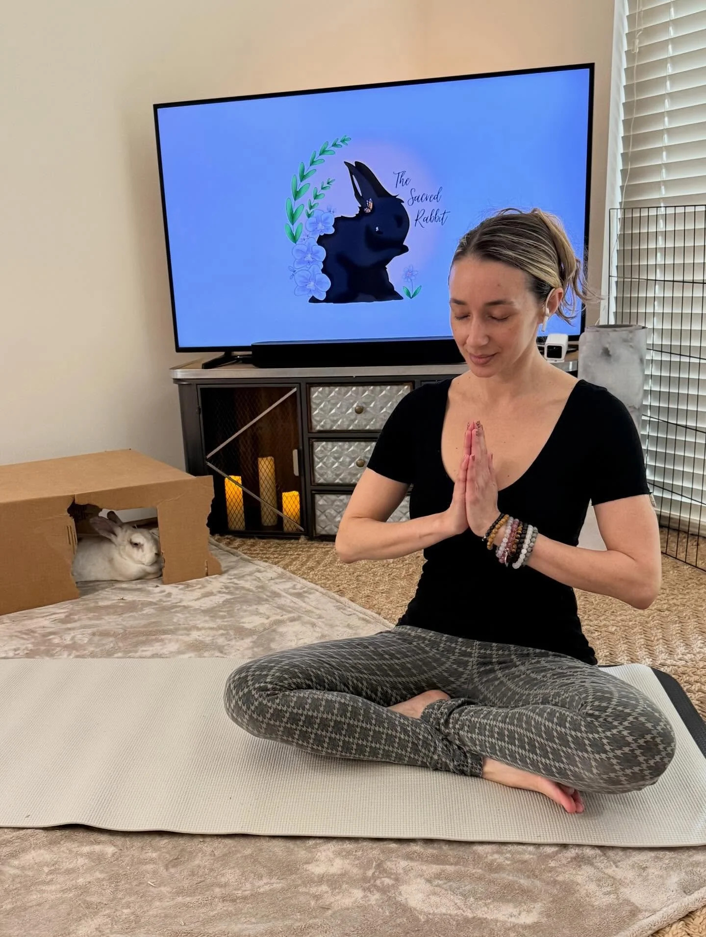 Greetings, friends! 🐰✨
We&rsquo;ve officially hopped into 2026 and Aquarius Season! ♒💫 Oh my bun&hellip; does anyone else feel like it&rsquo;s been 1,000 days since that ball dropped? 🙃 If you need some good news, Vinnie Bun &amp; I have you cover