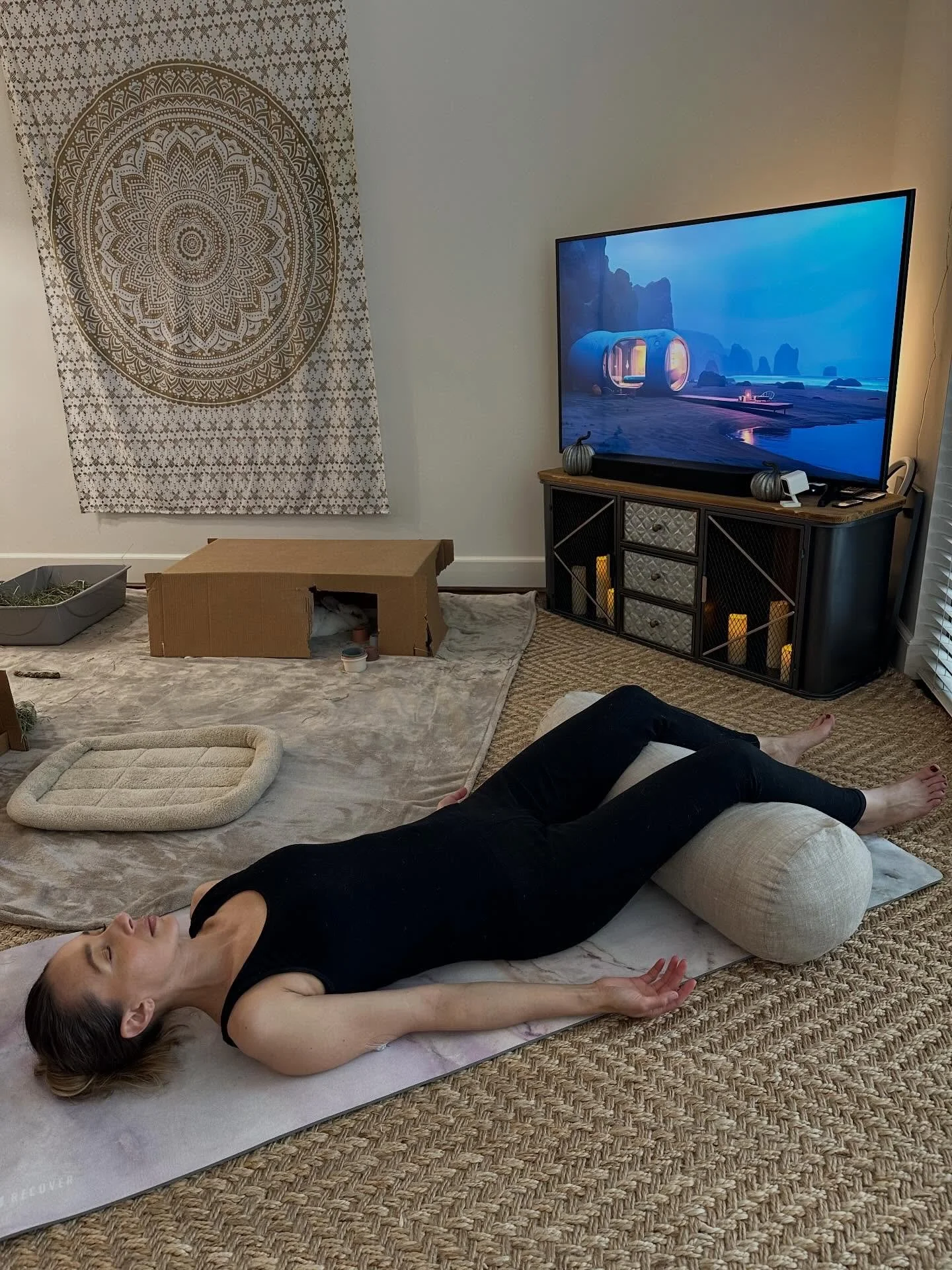 The Sacred Rabbit is burrowing offline for a little digital detox. 🌿🐇

As we hop into this Lunar New Year - a time of renewal, reflection, and fresh beginnings, I&rsquo;m taking some quiet days to rest, recharge, and realign with nature&rsquo;s rhy