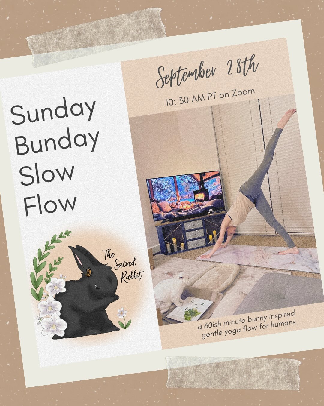 My heart is FULL 🤍🤍🤍

Yoga, my brother&rsquo;s wedding, art shows, yummy vegan cuisine, cruelty free skincare outreach, time in nature, and of course - lots of bunny time! This summer was pure magic! 🥹✨

I won&rsquo;t be saying to goodbye to this