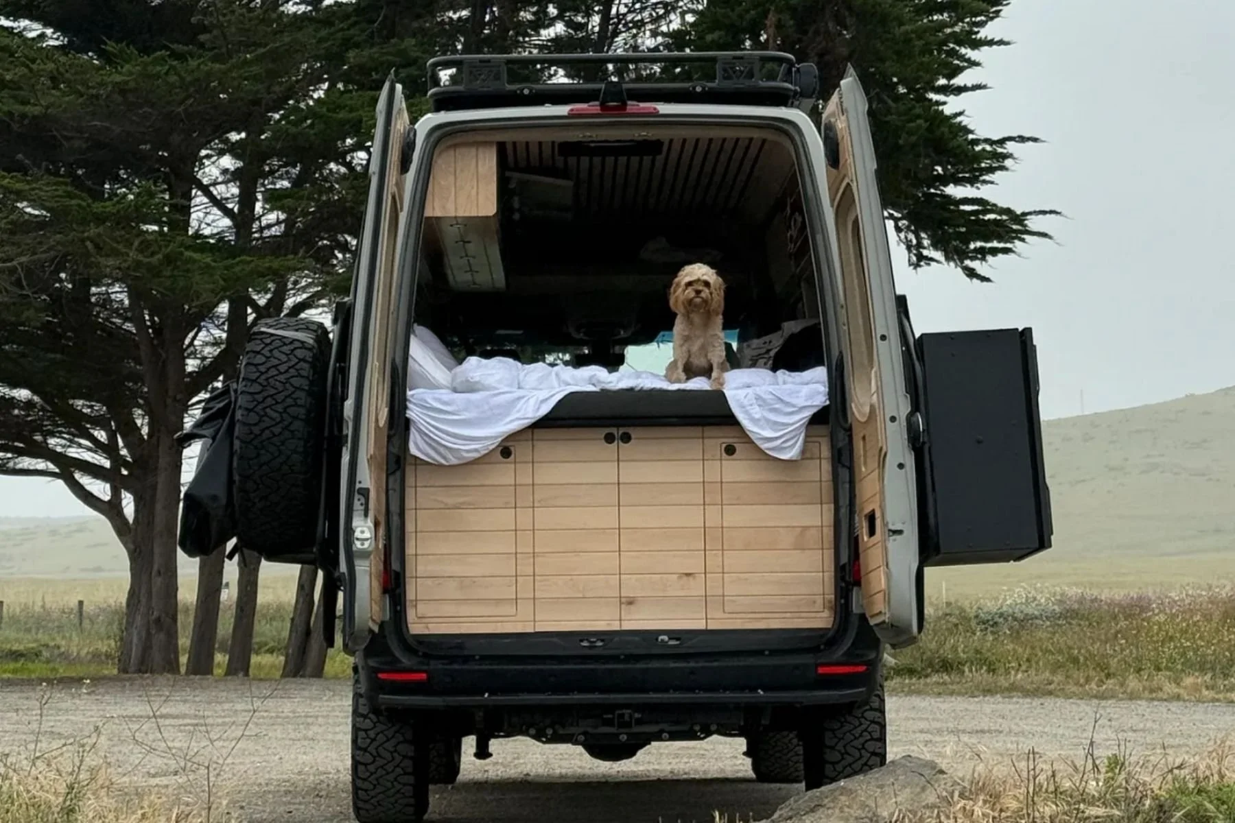 altcamp-sequoia-rear-doors-open-bed-cavapoo-coastal-camp.jpg.jpg
