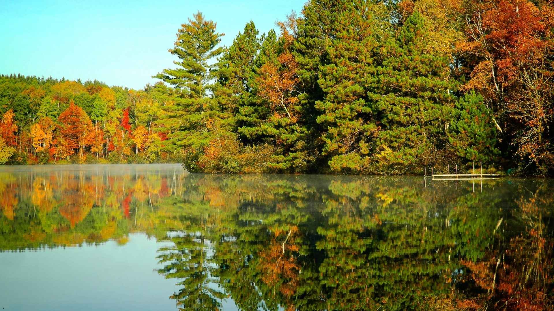 Northern Minnesota lake surrounded by fall foliage and pine trees, highlighting scenic destinations for conversion van rentals and road trips.