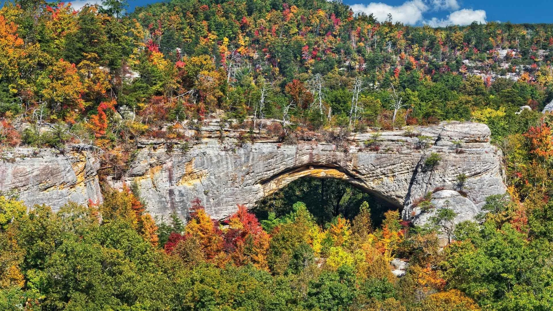 Autumn view of Natural Bridge in Kentucky, featuring a massive stone arch surrounded by colorful fall foliage and forested cliffs.
