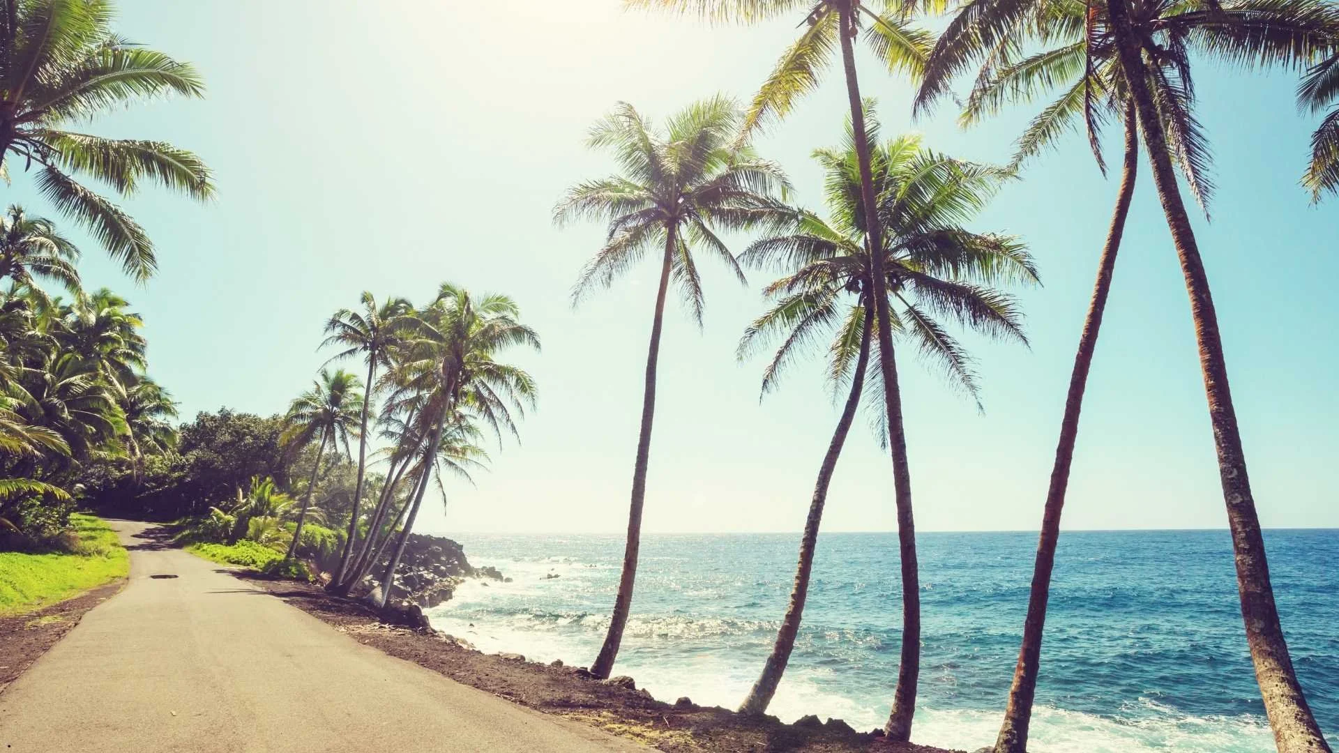 A Hawaiian dirt road next to the ocean.