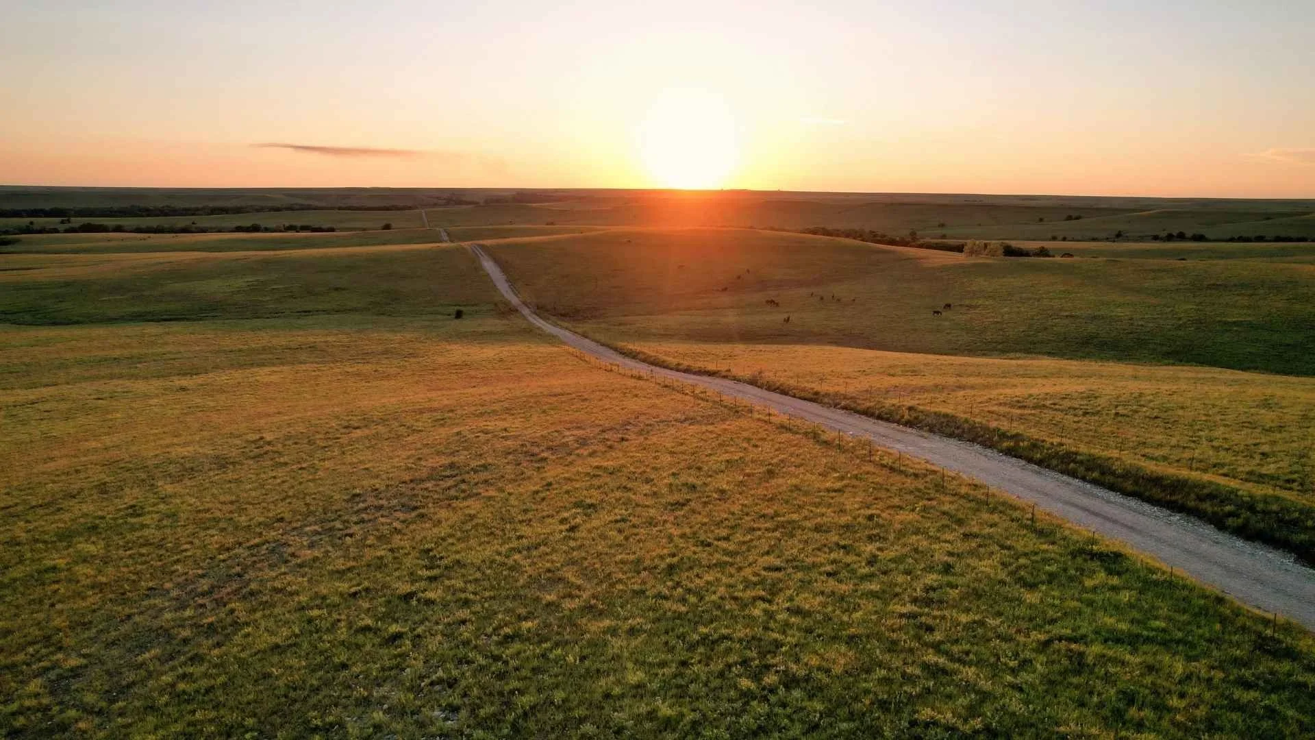 Wide view of Kansas prairie at sunset with a long dirt road cutting through rolling grassland, open farmland stretching to the horizon under a low sun and clear sky.