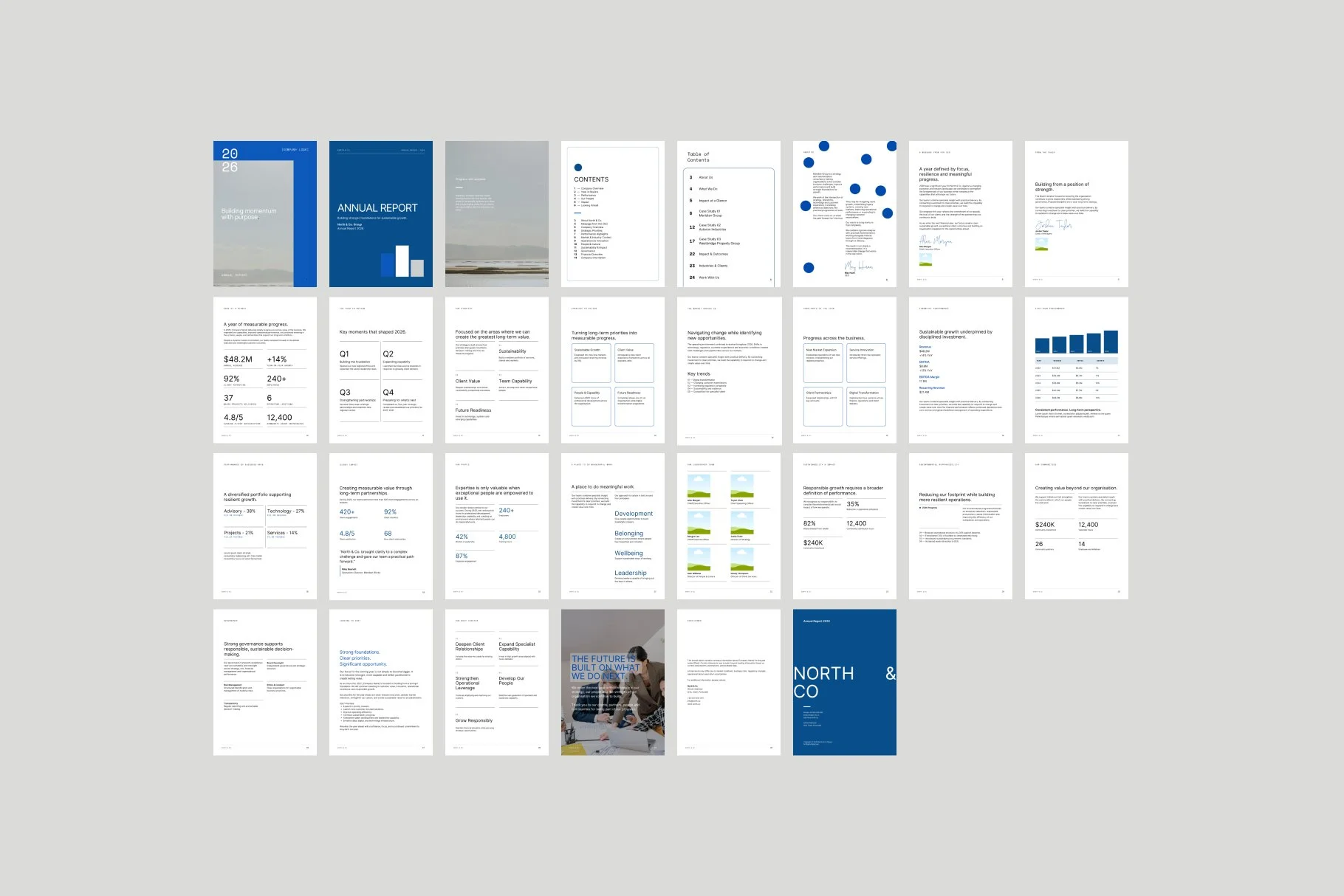 Corporate Annual Report pages.jpg