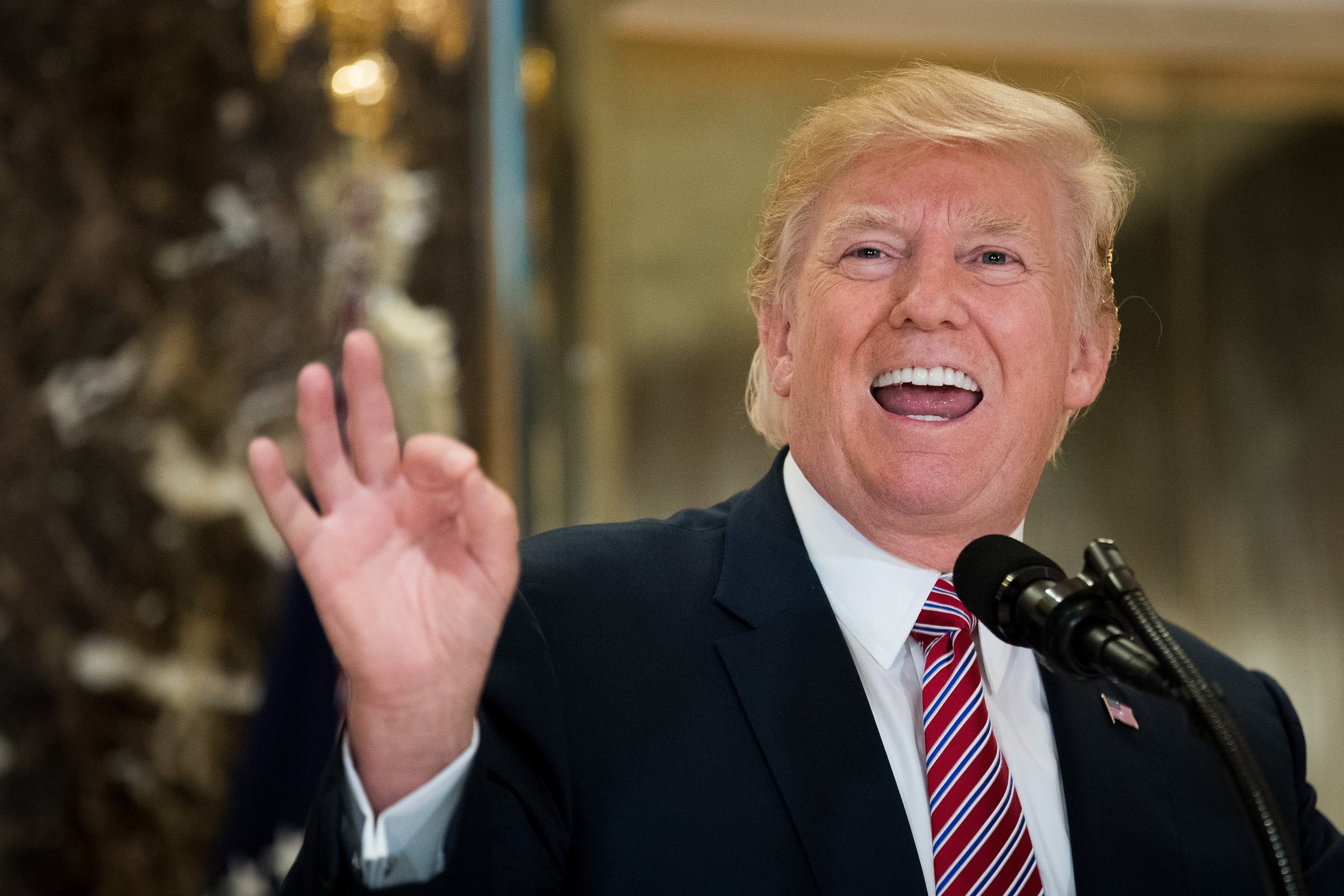 Donald Trump: The 45th President of the United States (2017-2021).