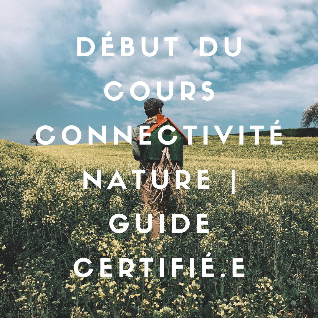 Début du Cours Connectivité Nature | Guide Certifié.e