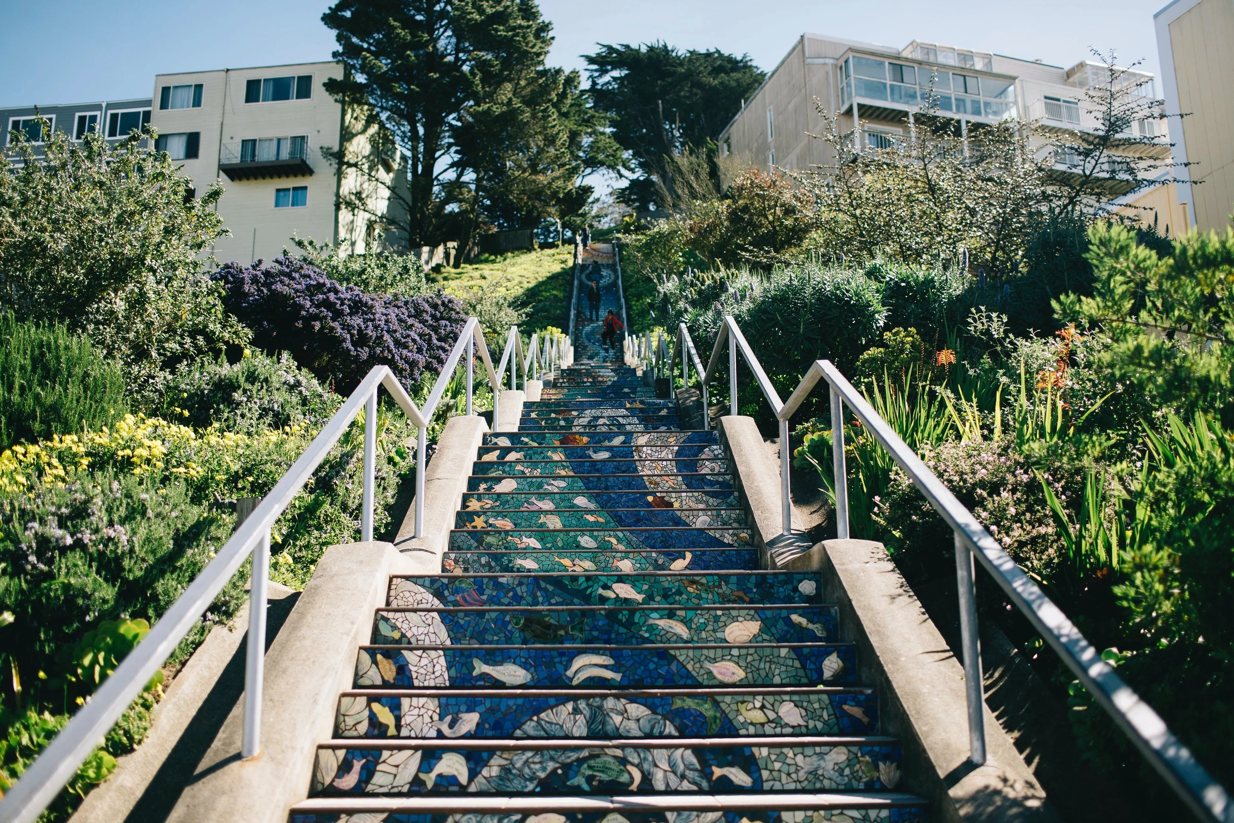 Nature-Based Urban Planning: A European Health Imperative?
