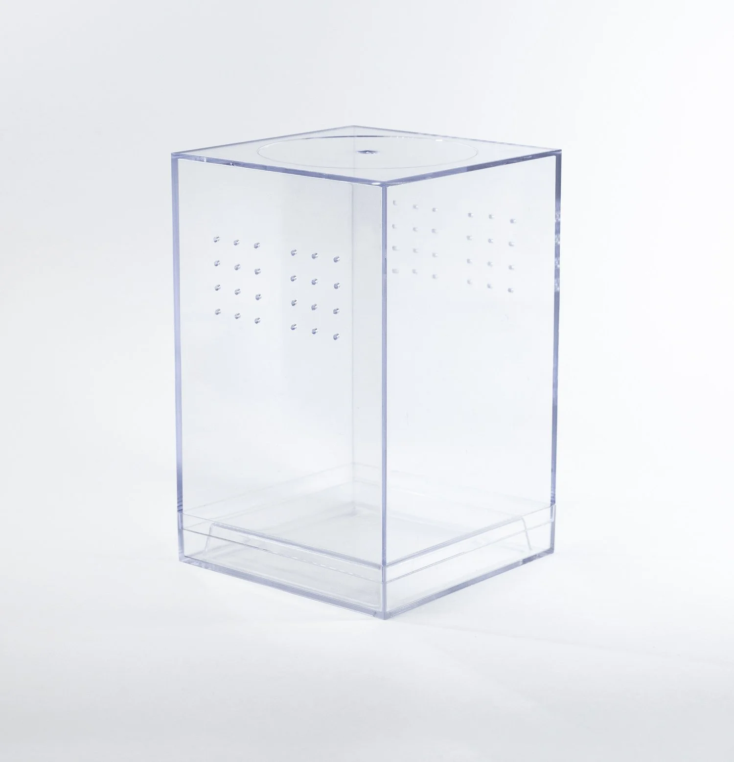 jumping spider enclosure