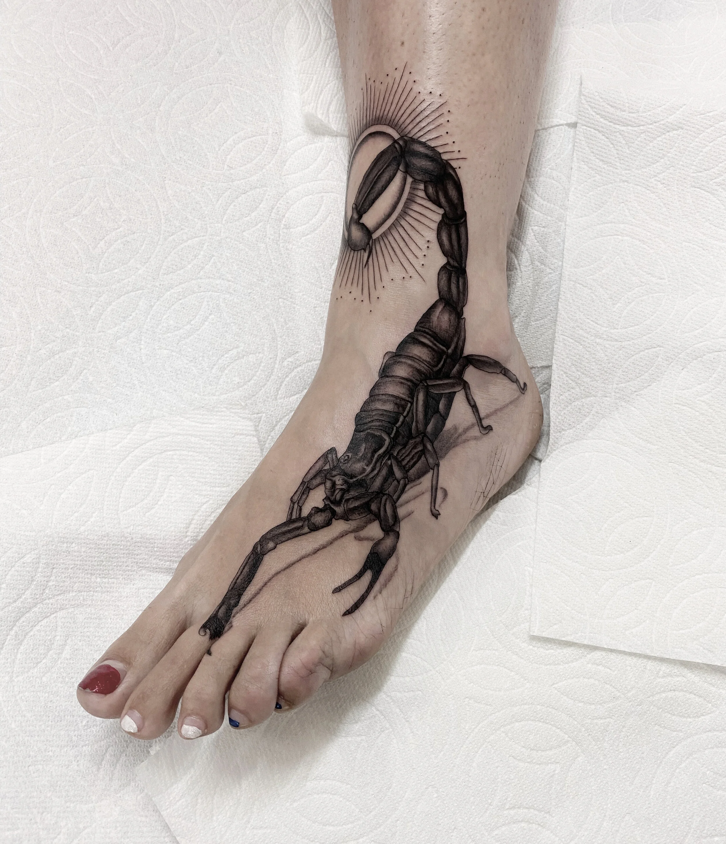 Scorpian.jpg