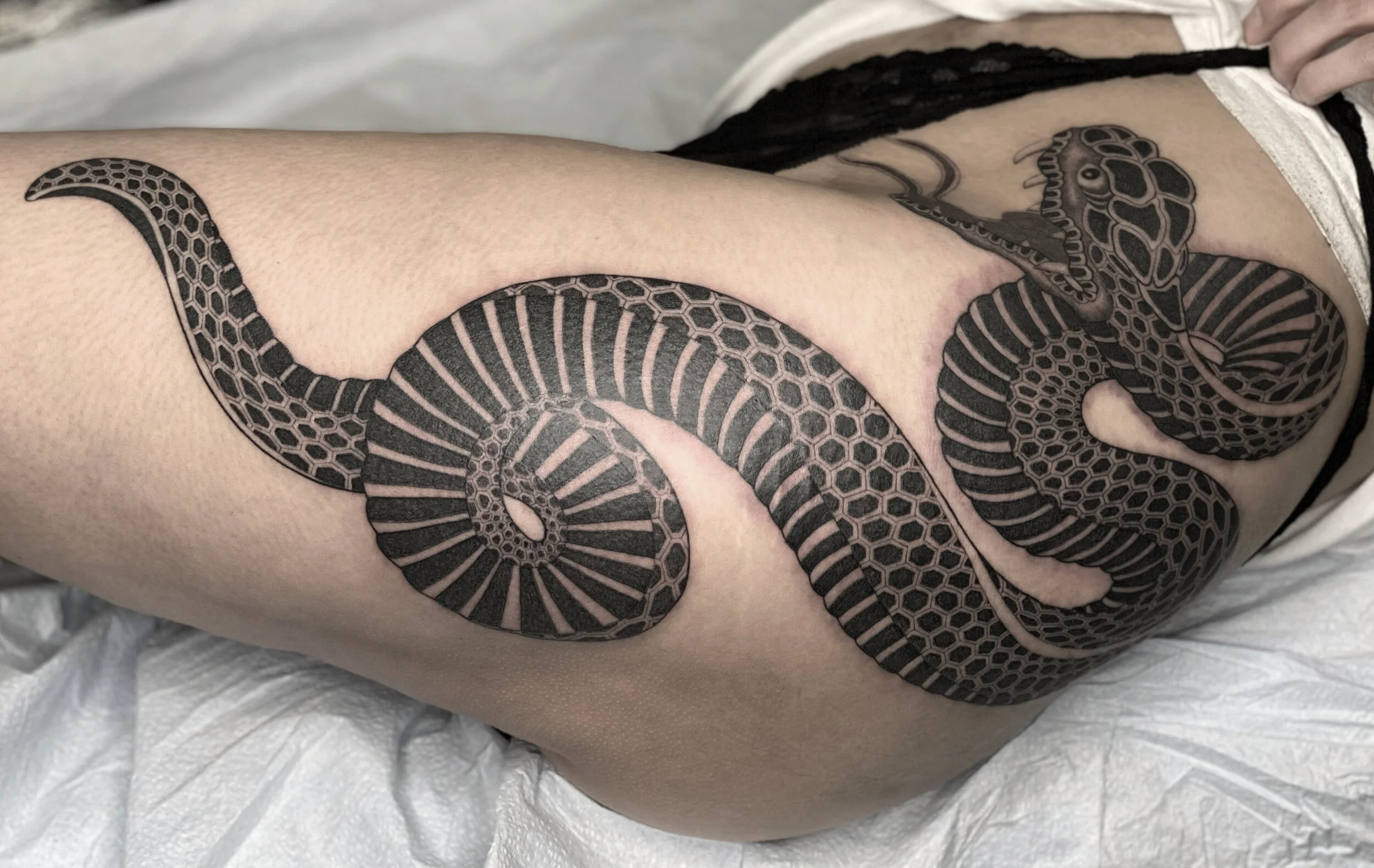Snake Thigh.jpg