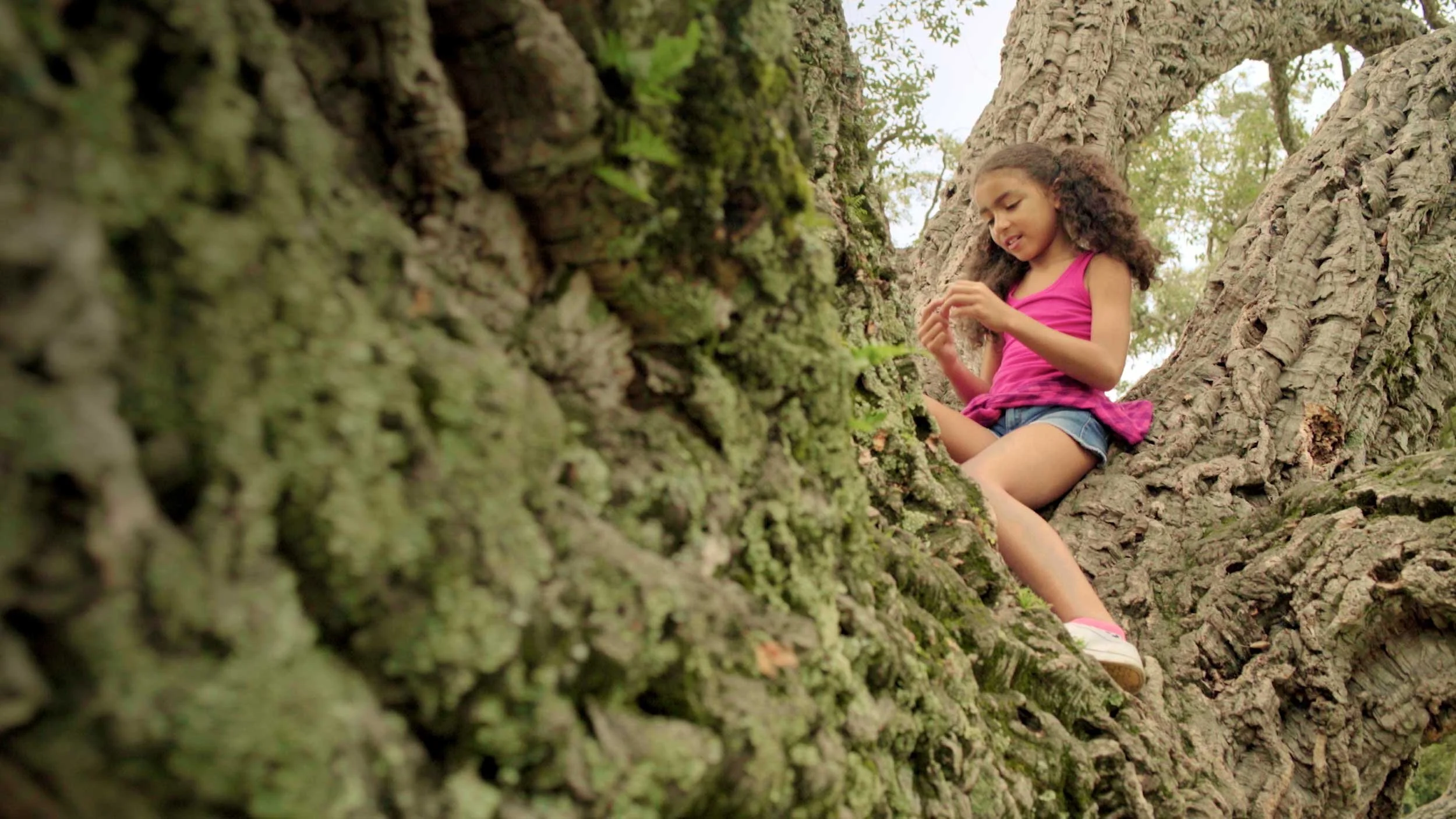 TRUST FOR PUBLIC LAND