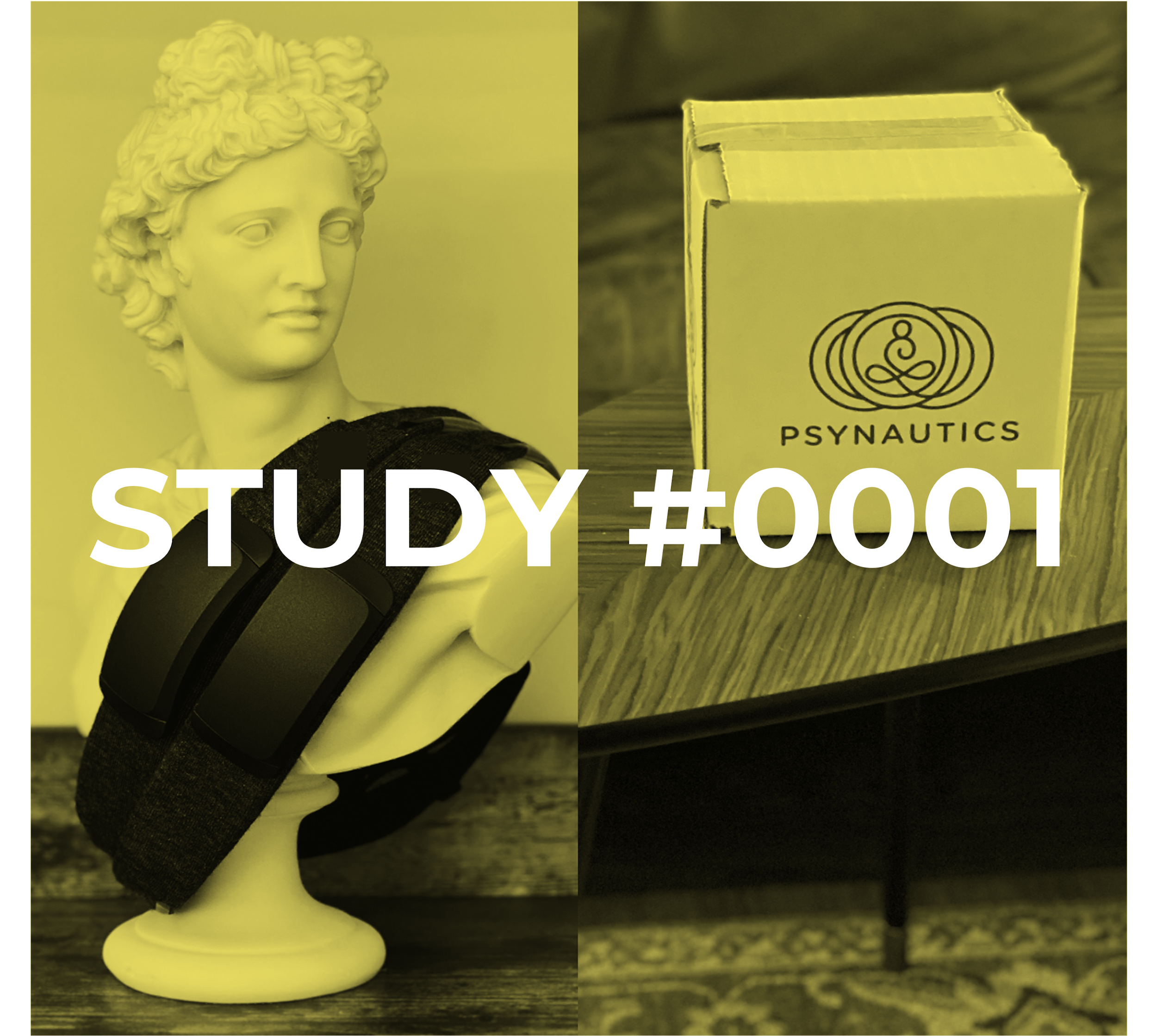 Study1.png