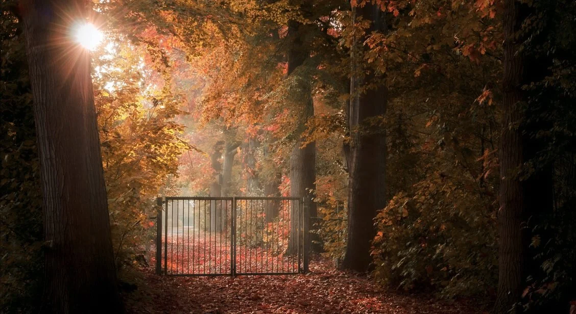 Gate? What gate?