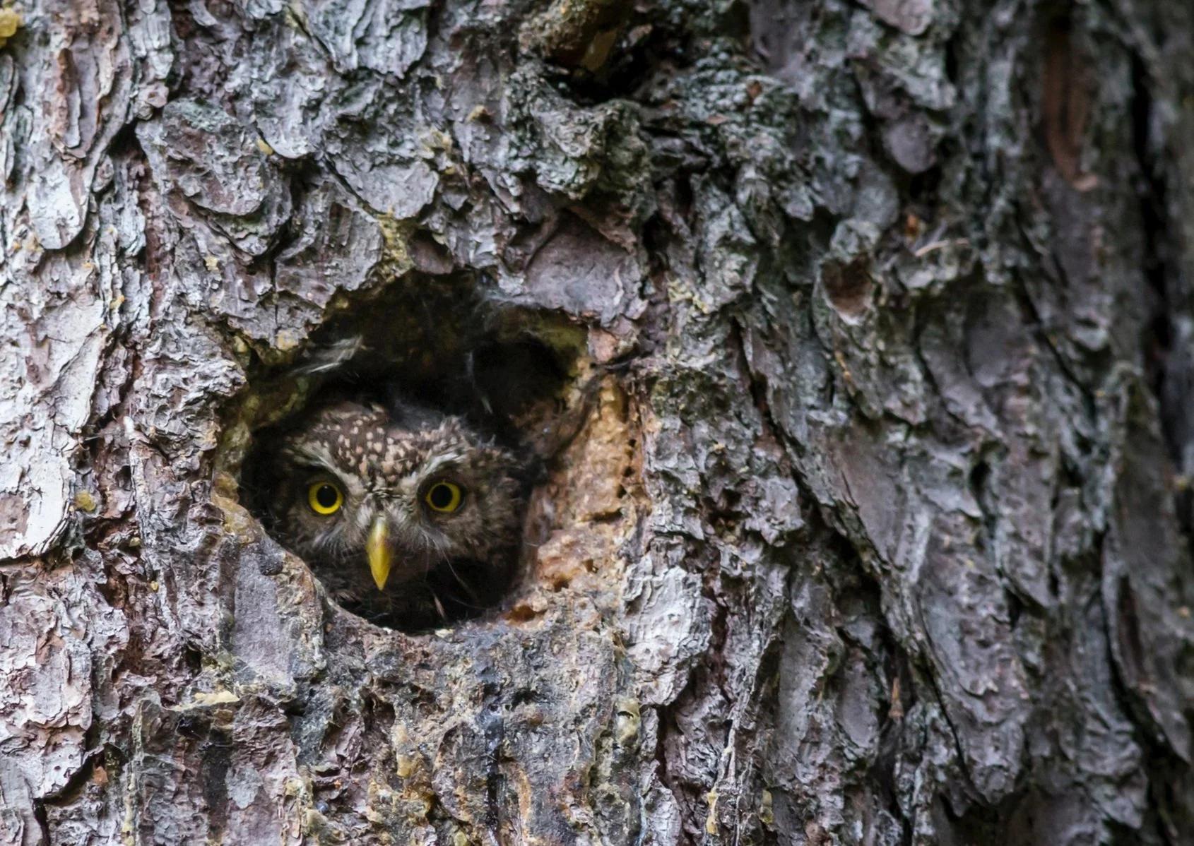 Introverts &amp; Marketing