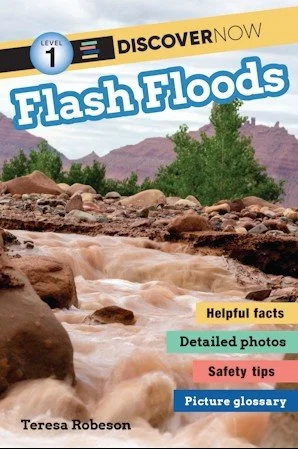 DISCOVER NOW - FLASH FLOODS by Teresa Robeson.jpg