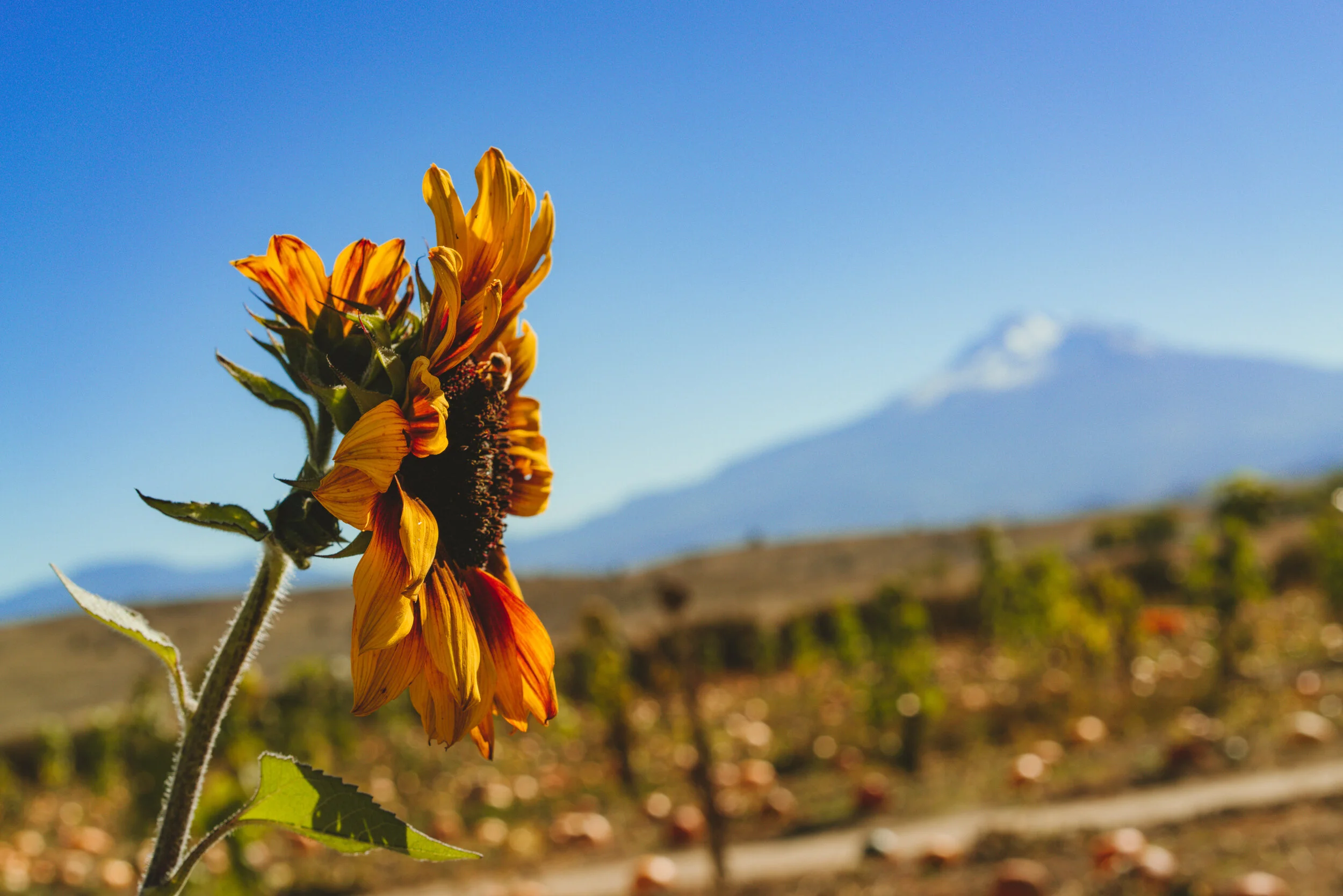 Friday Update: 10/01/21