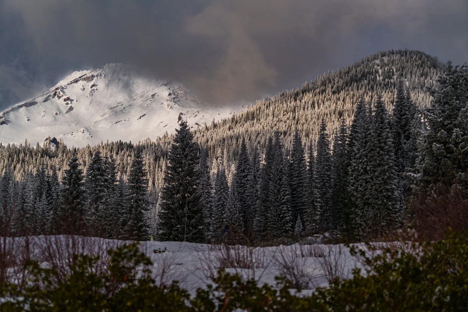 Friday Update: 1/14/22