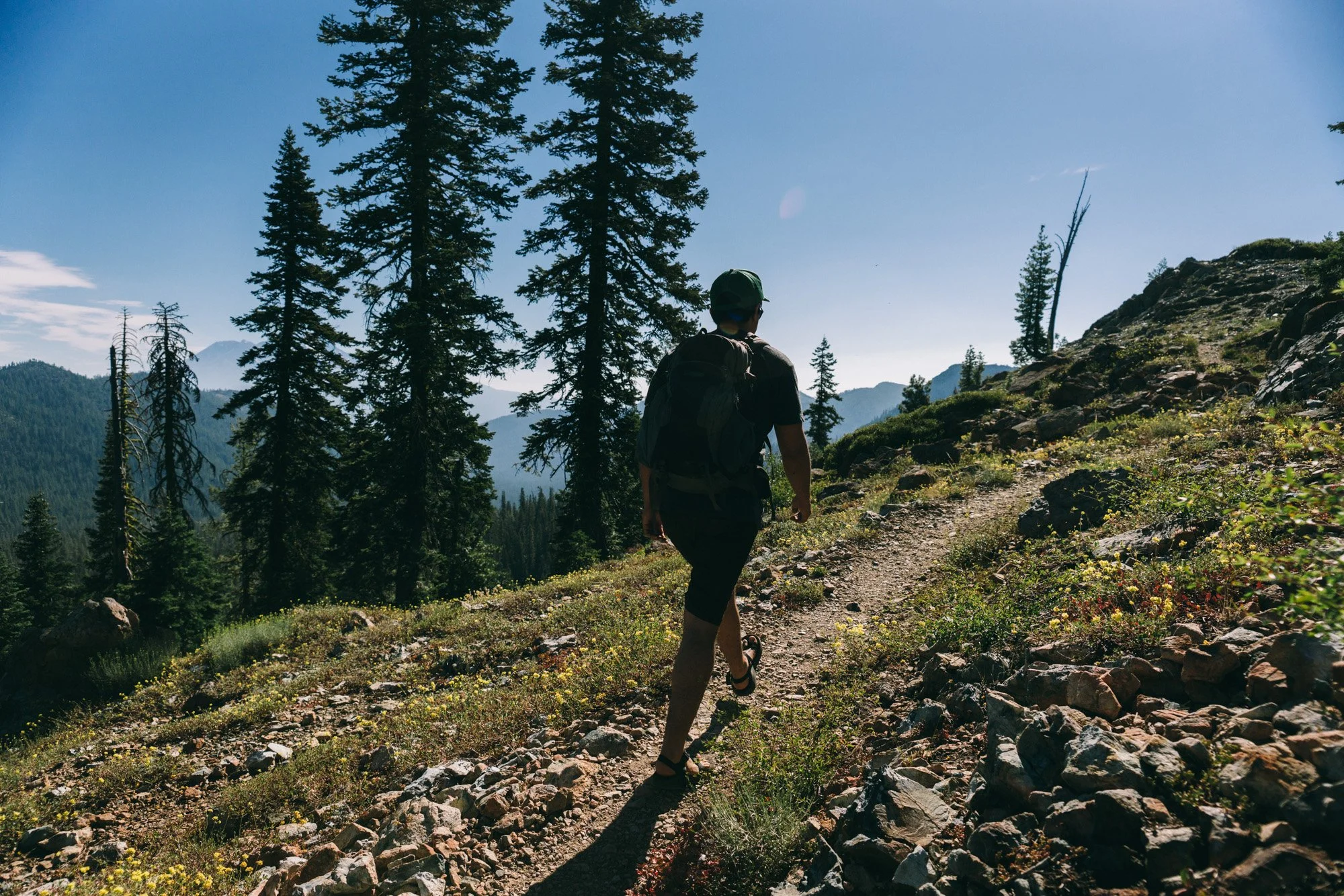 Monthly Update: July 2022