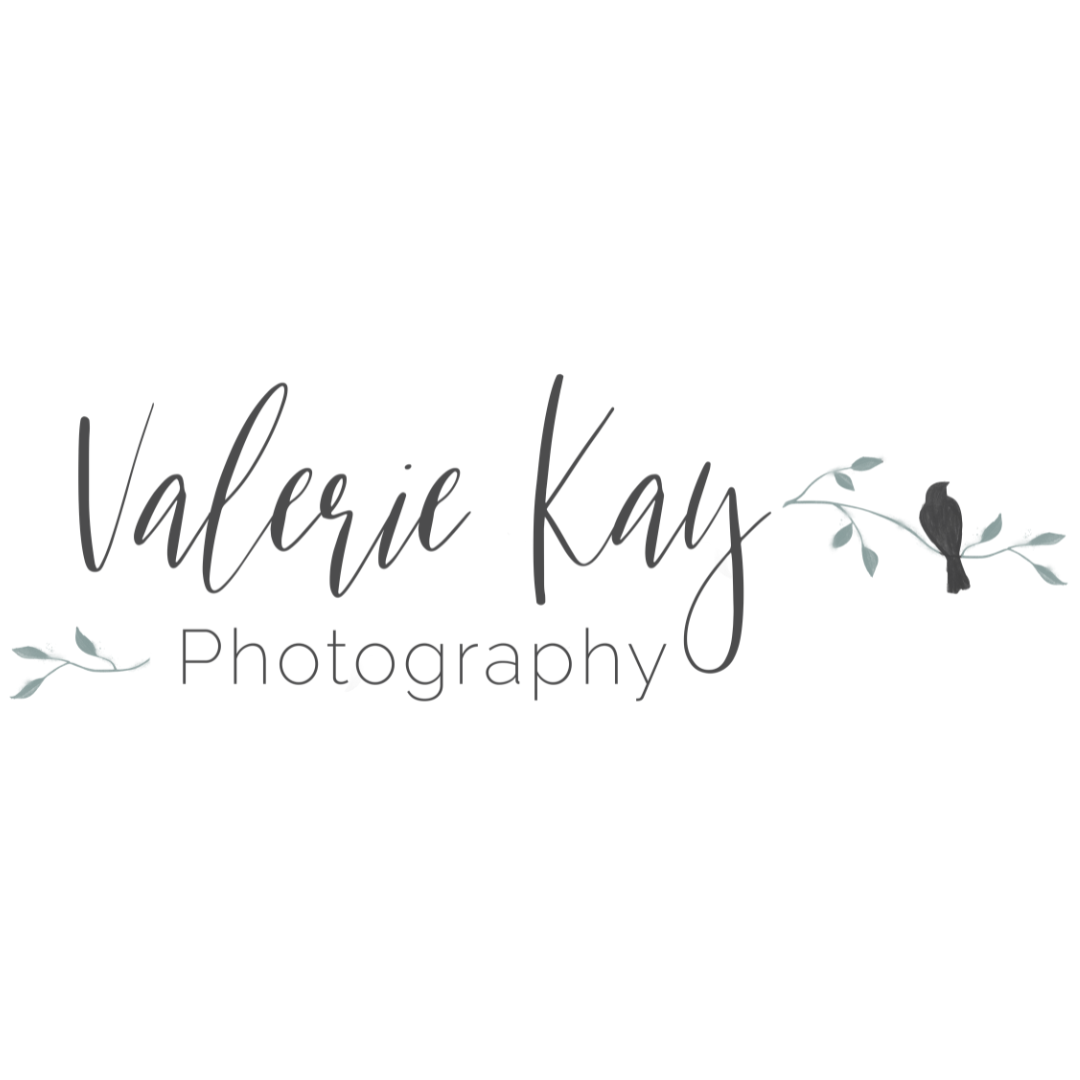 Logo of Valerie Kay Photography featuring elegant script font with a bird on a branch design.