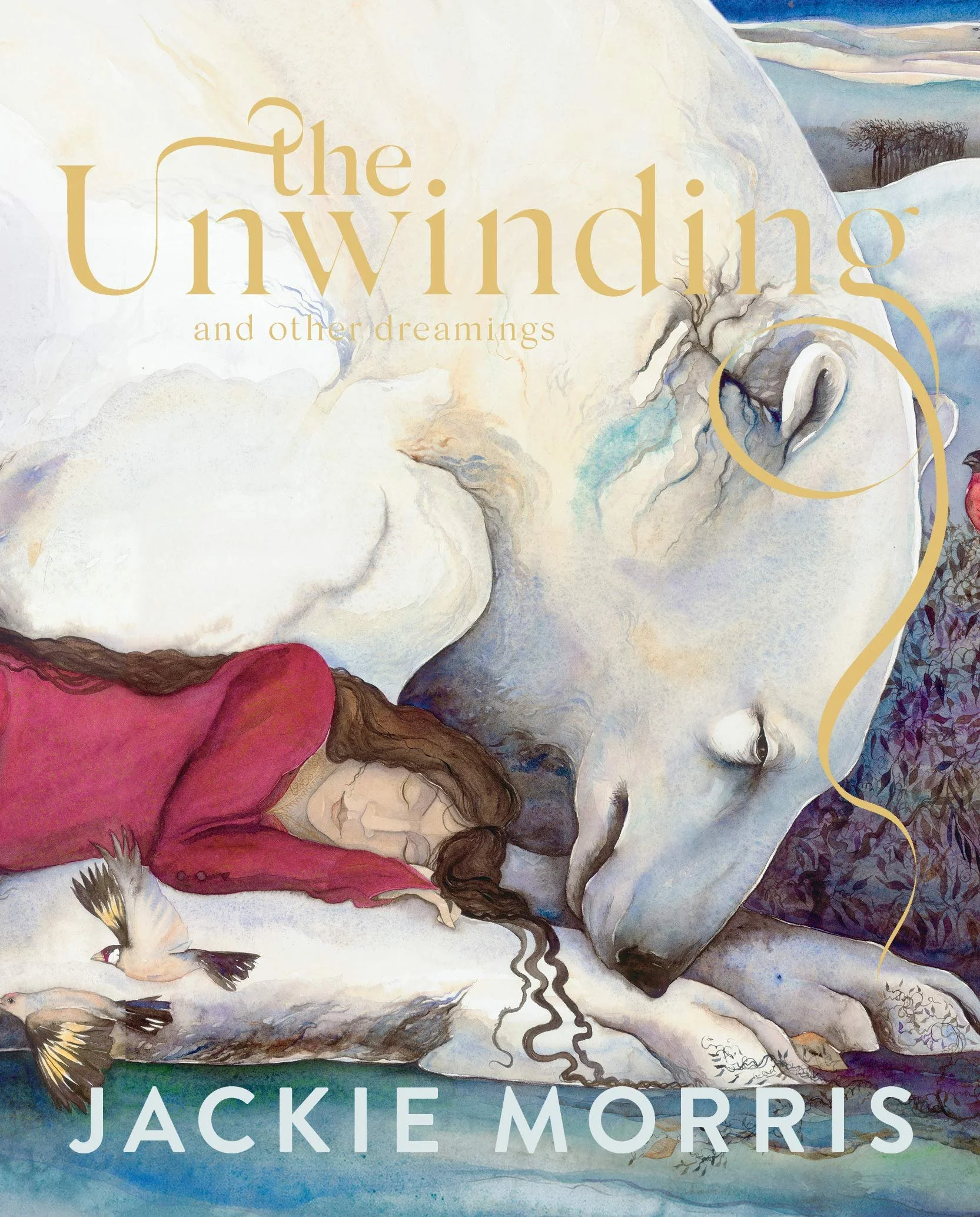 The Unwinding and other Dreamings book cover photo