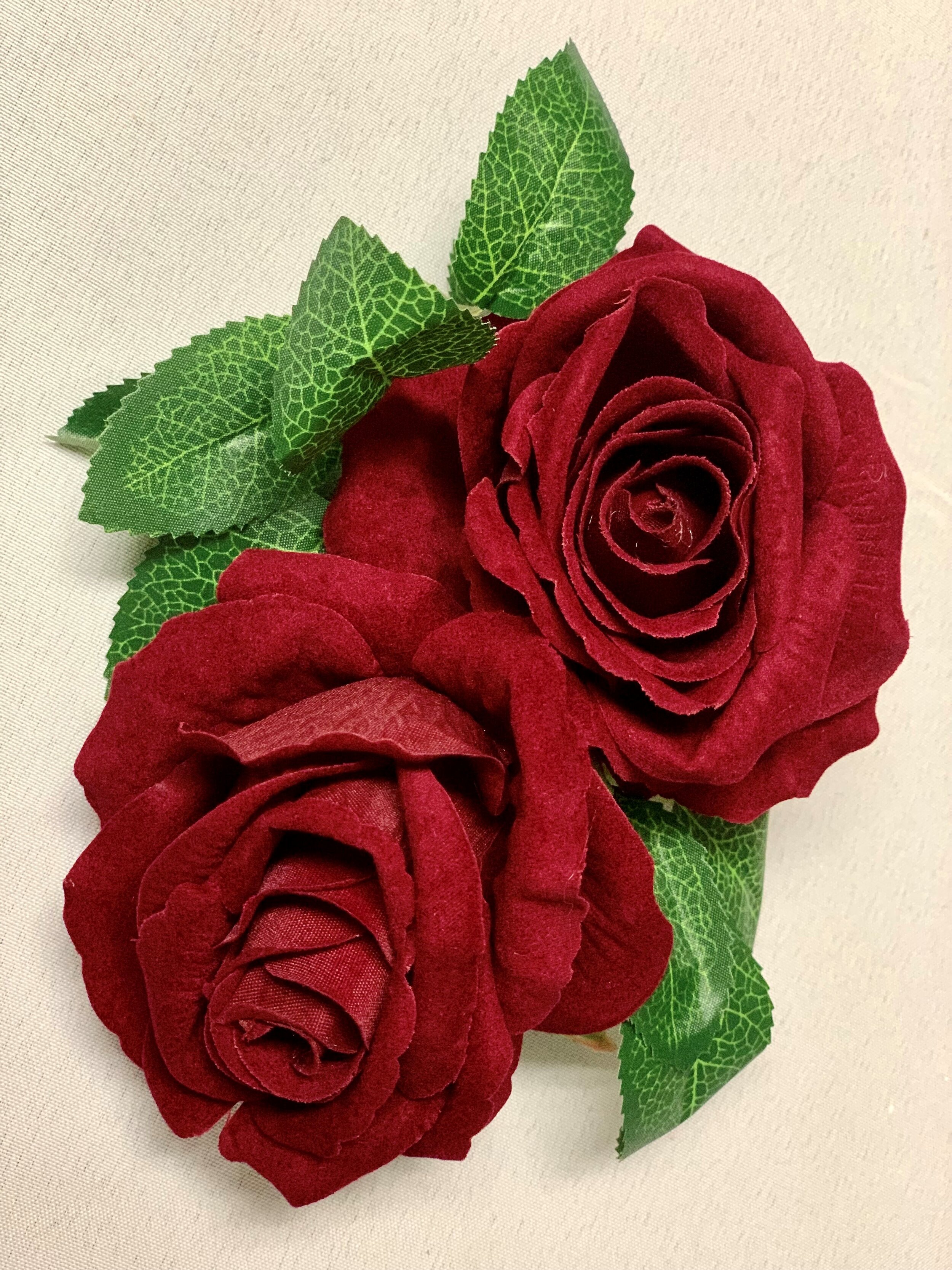 Deep Red Roses